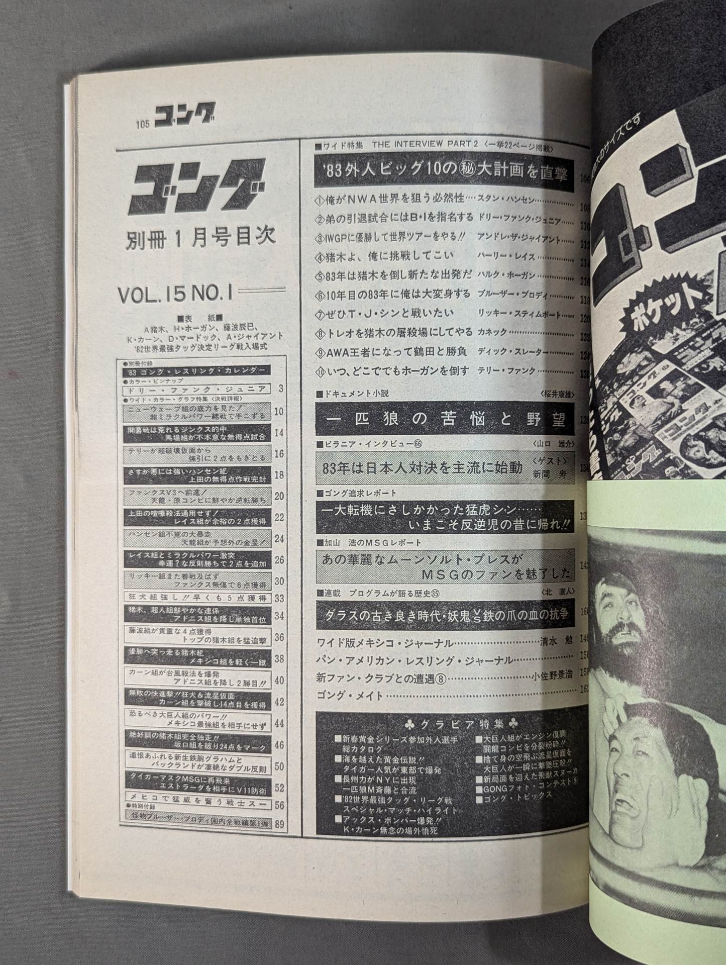 別冊ゴングVol.15 No.1