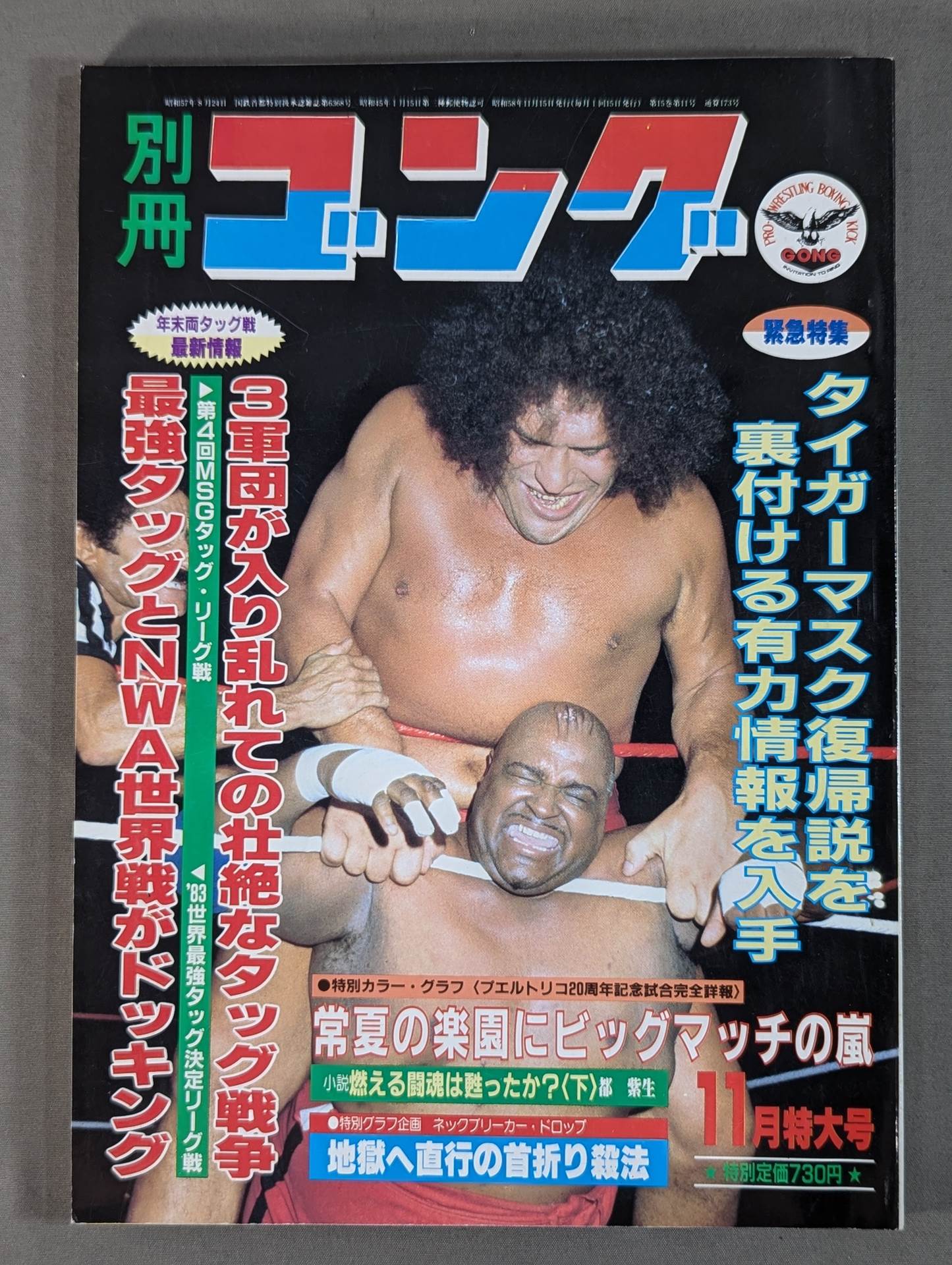 別冊ゴングVol.15 No.11