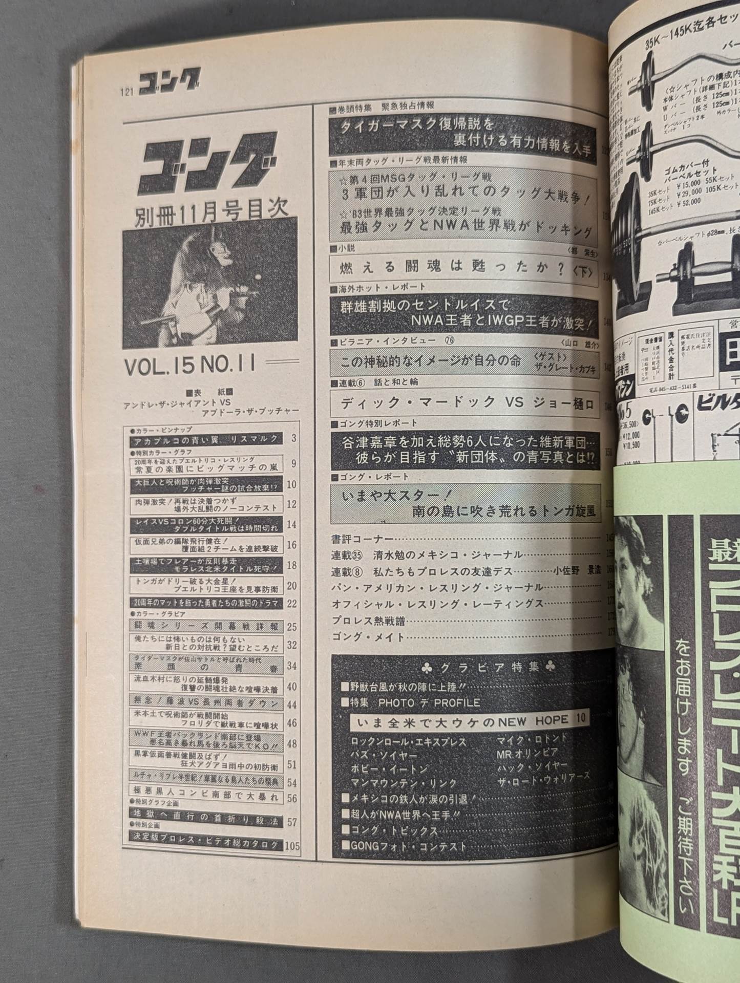 別冊ゴングVol.15 No.11