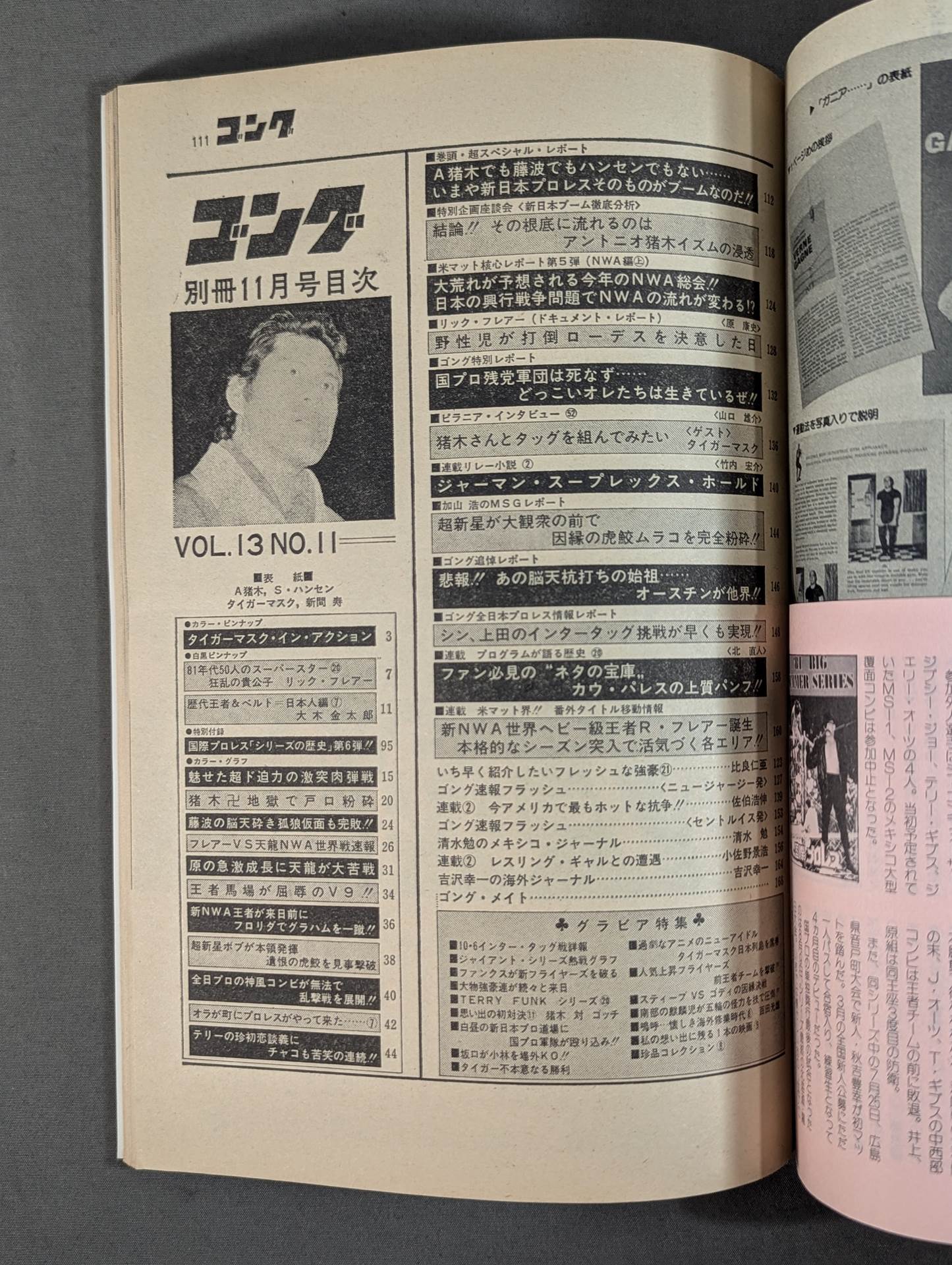 別冊ゴングVol.13 No.11