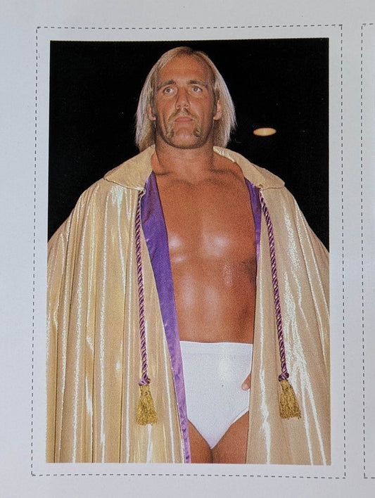 Hulk Hogan  Wrestler Cards(4)