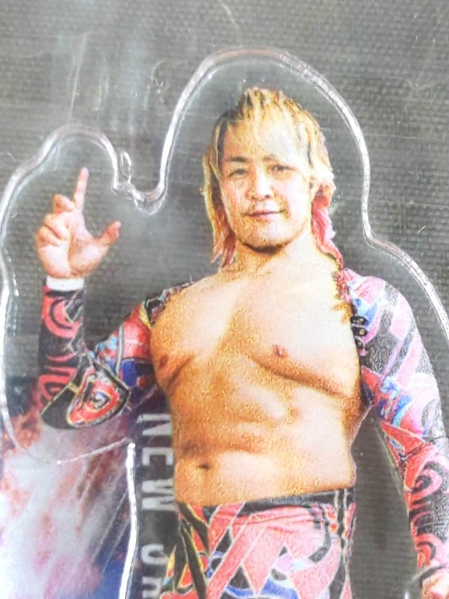 ★WRESTLE KINGDOM 18 Lottery ★ Hiroshi Tanahashi Acrylic Stand