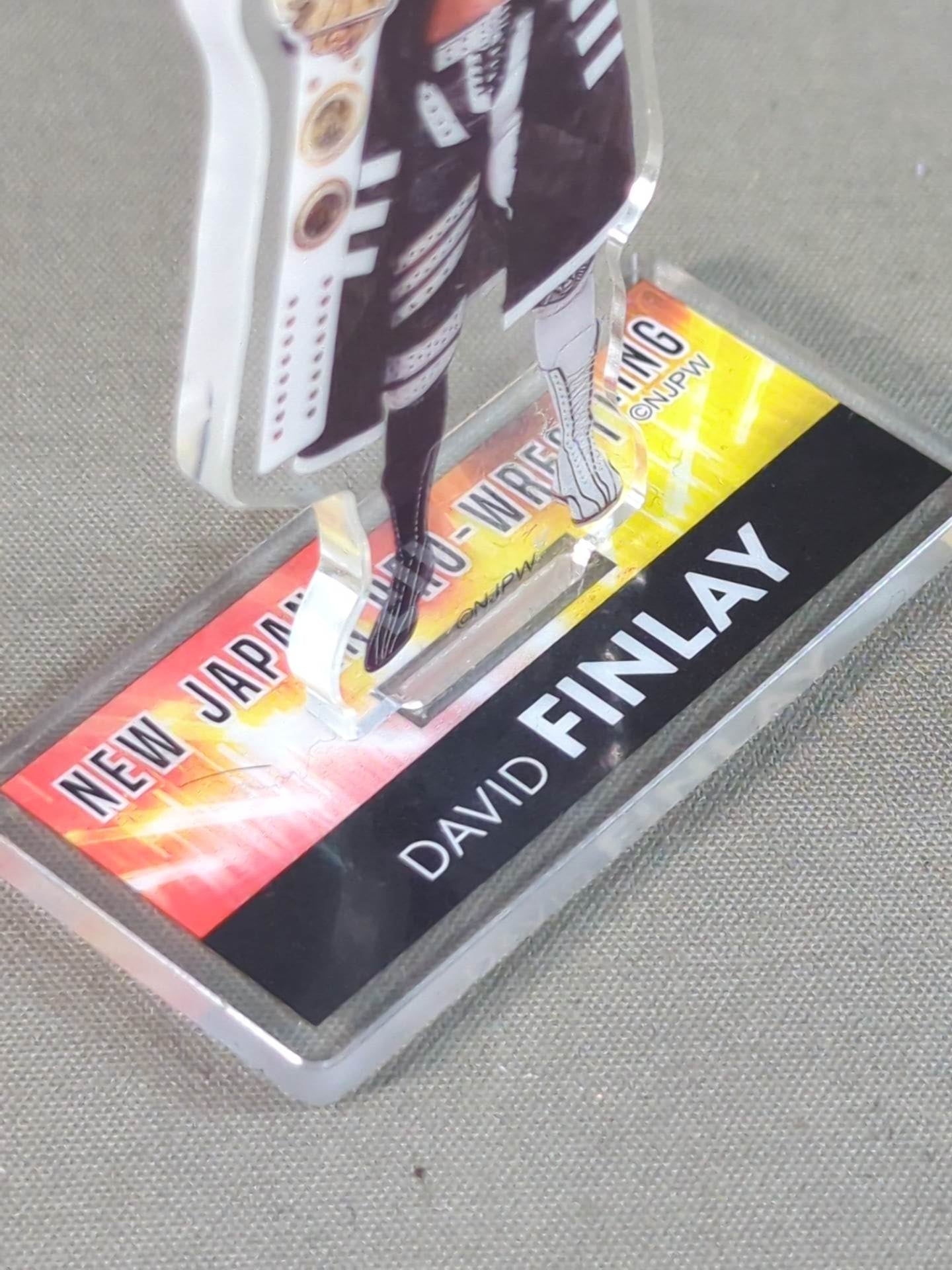 ★ Shinnichi Premium Lottery ★ David Finlay Acrylic Stand