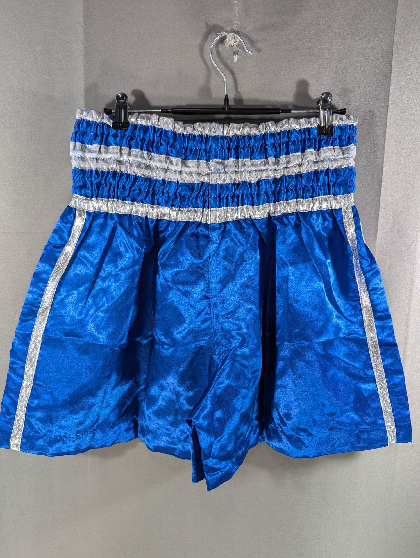 Muay Thai Trunks (3) (Blue)