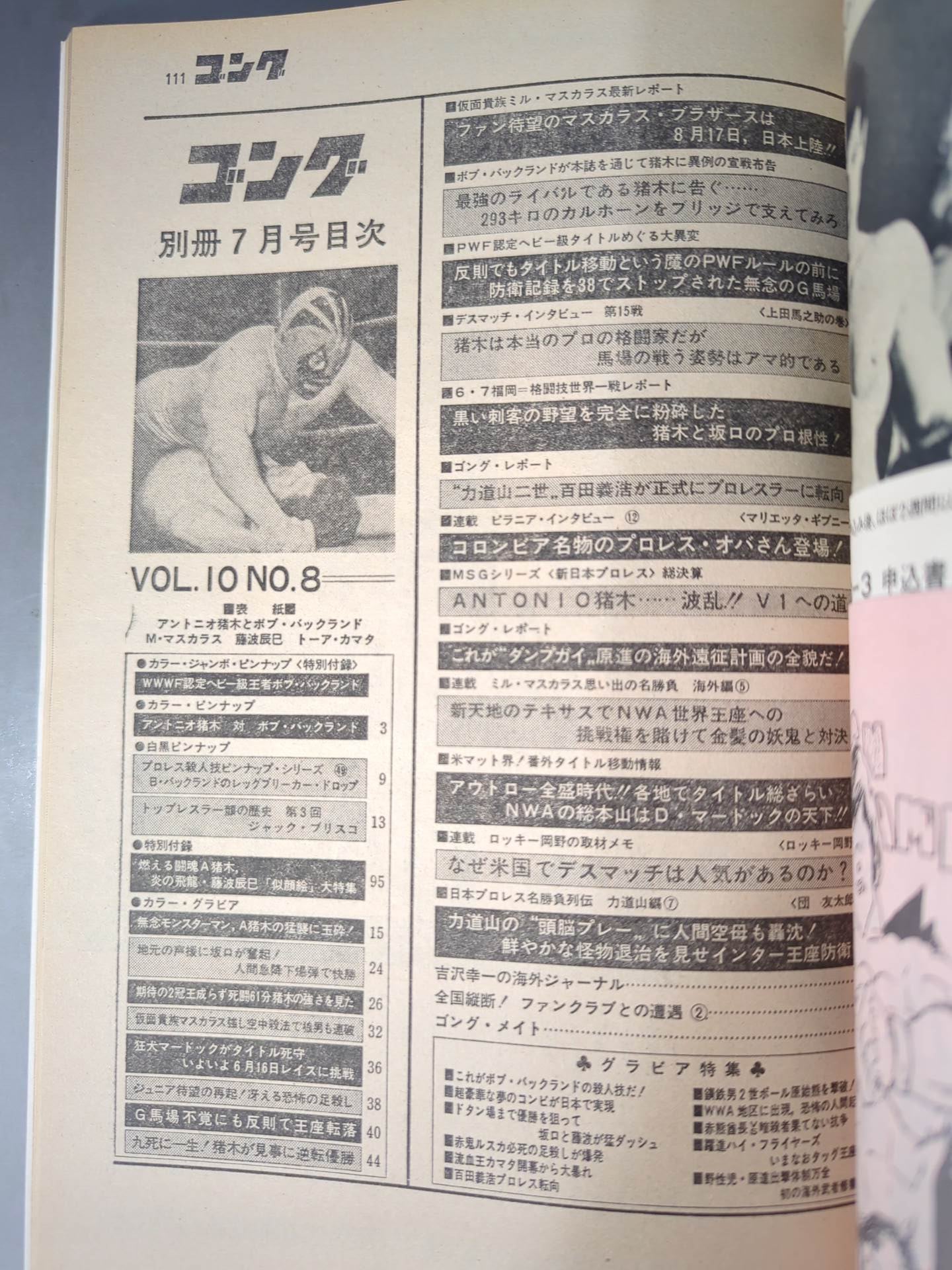 別冊ゴングVol.10 No.8