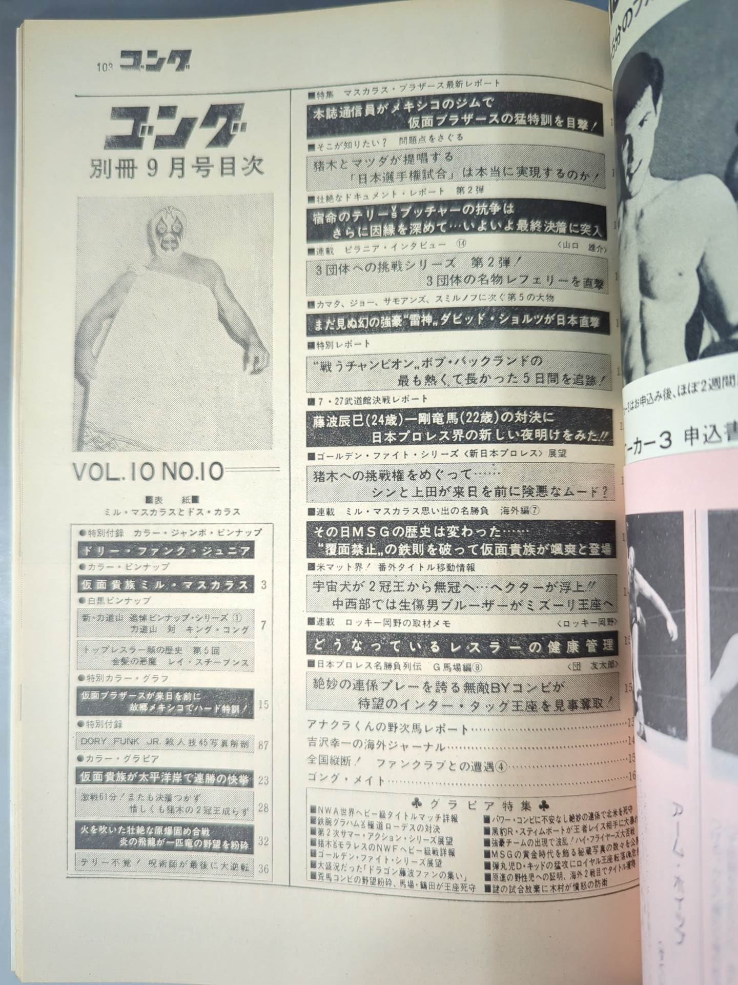 別冊ゴングVol.10 No.10