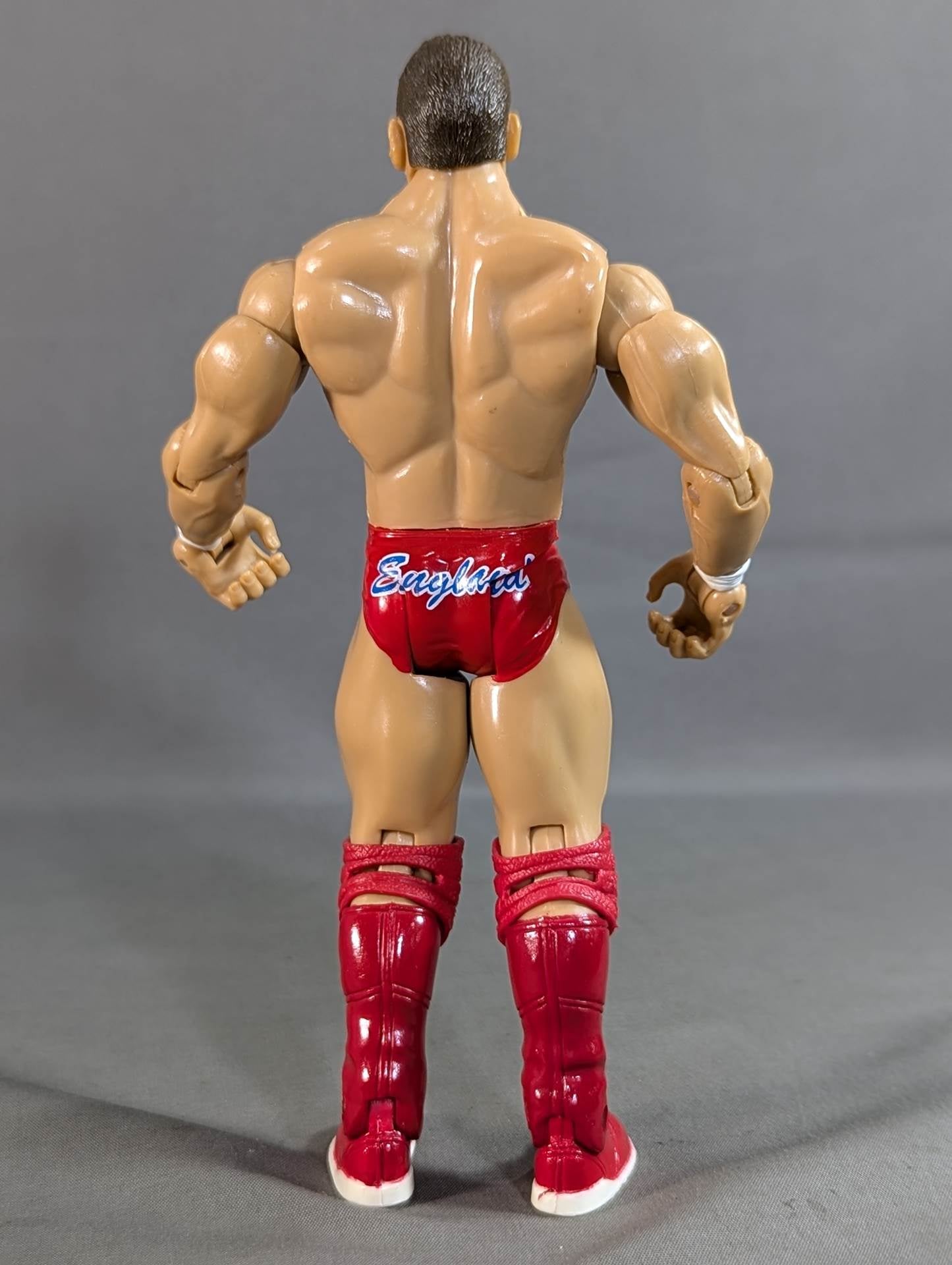William Regal (Red Pants)