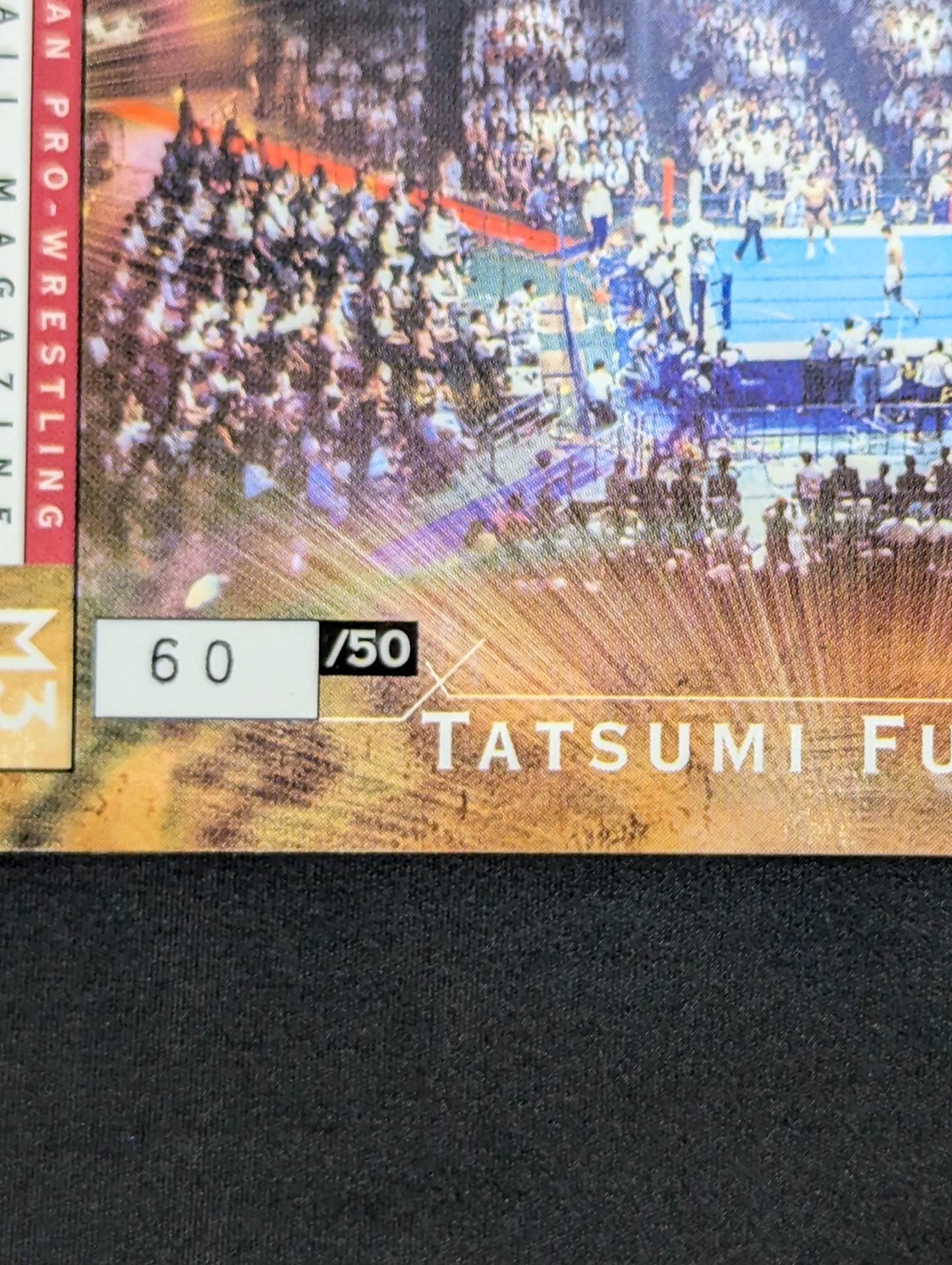 2002 BBM Tatsumi Fujinami Ring Canvas Enclosed Card
