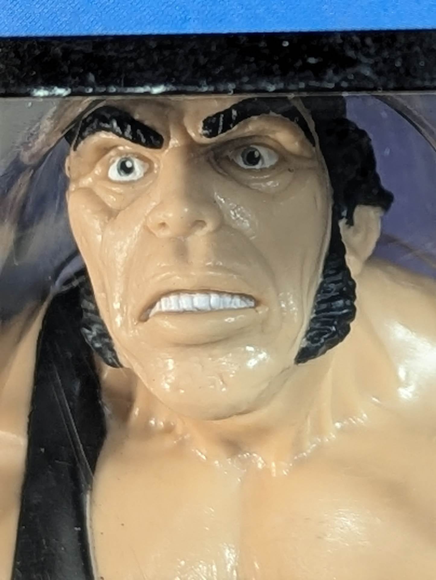 アンドレ・ザ・ジャイアント