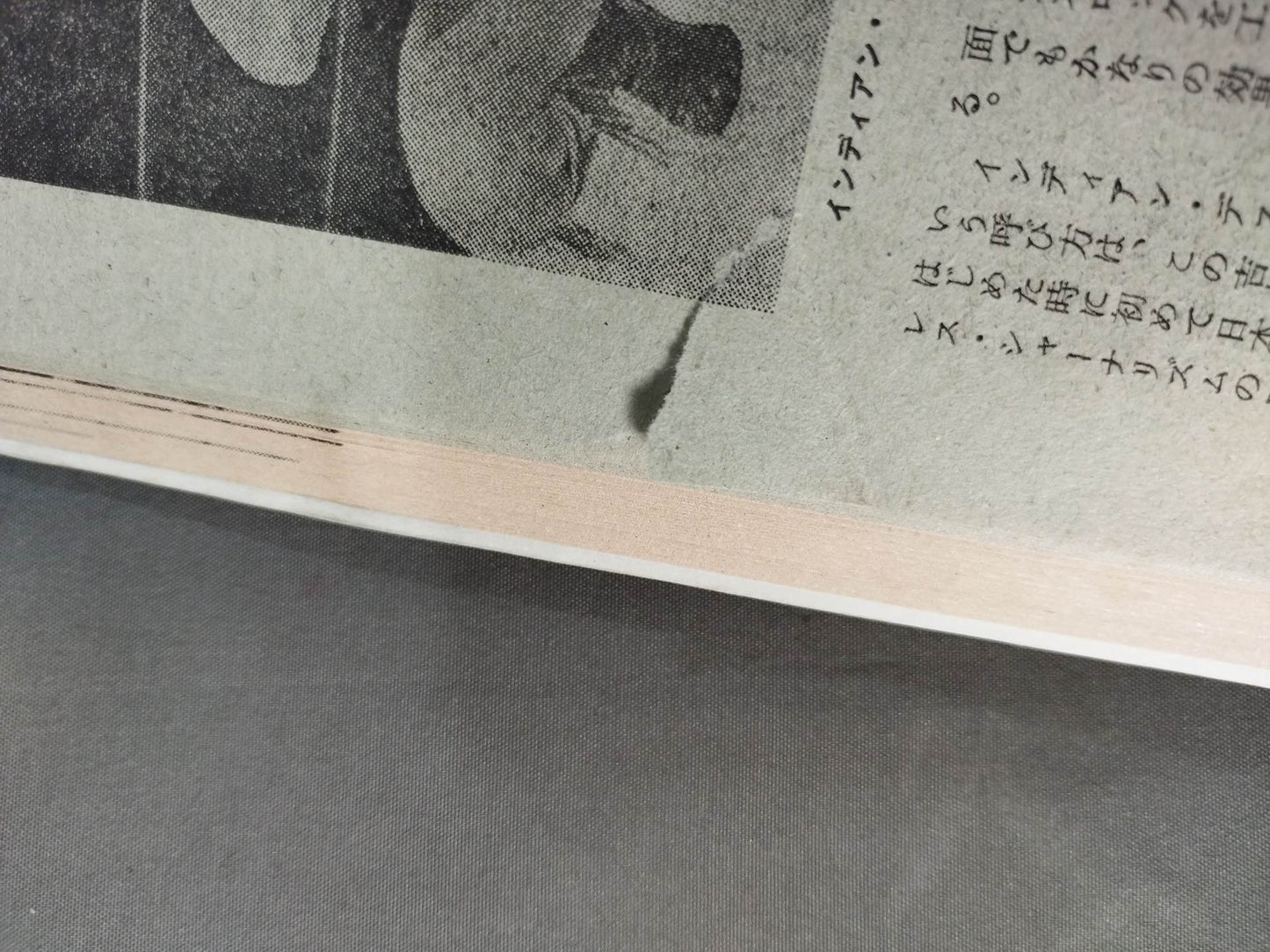 月刊ゴングVol.10 No.13