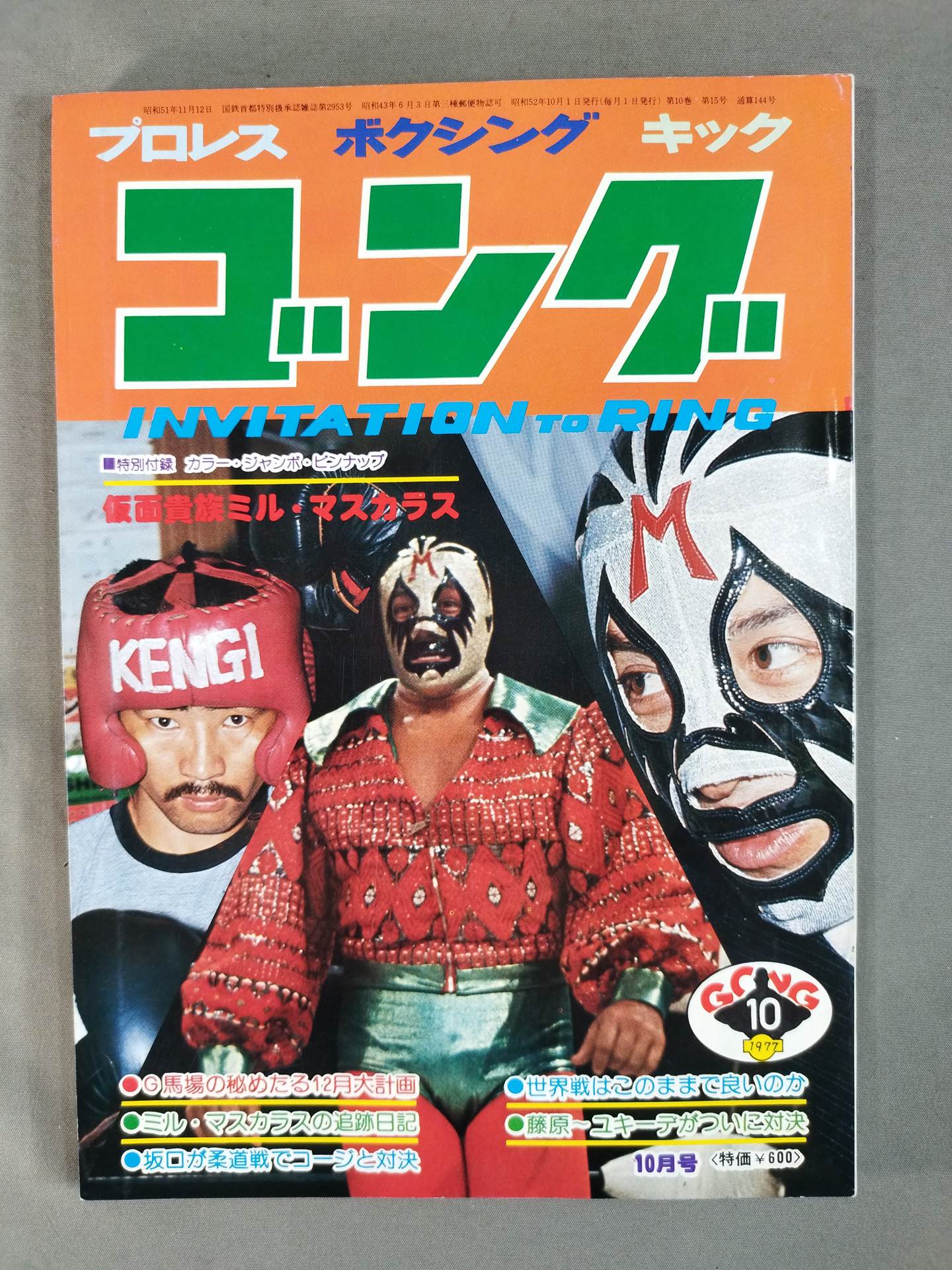 月刊ゴングVol.10 No.15