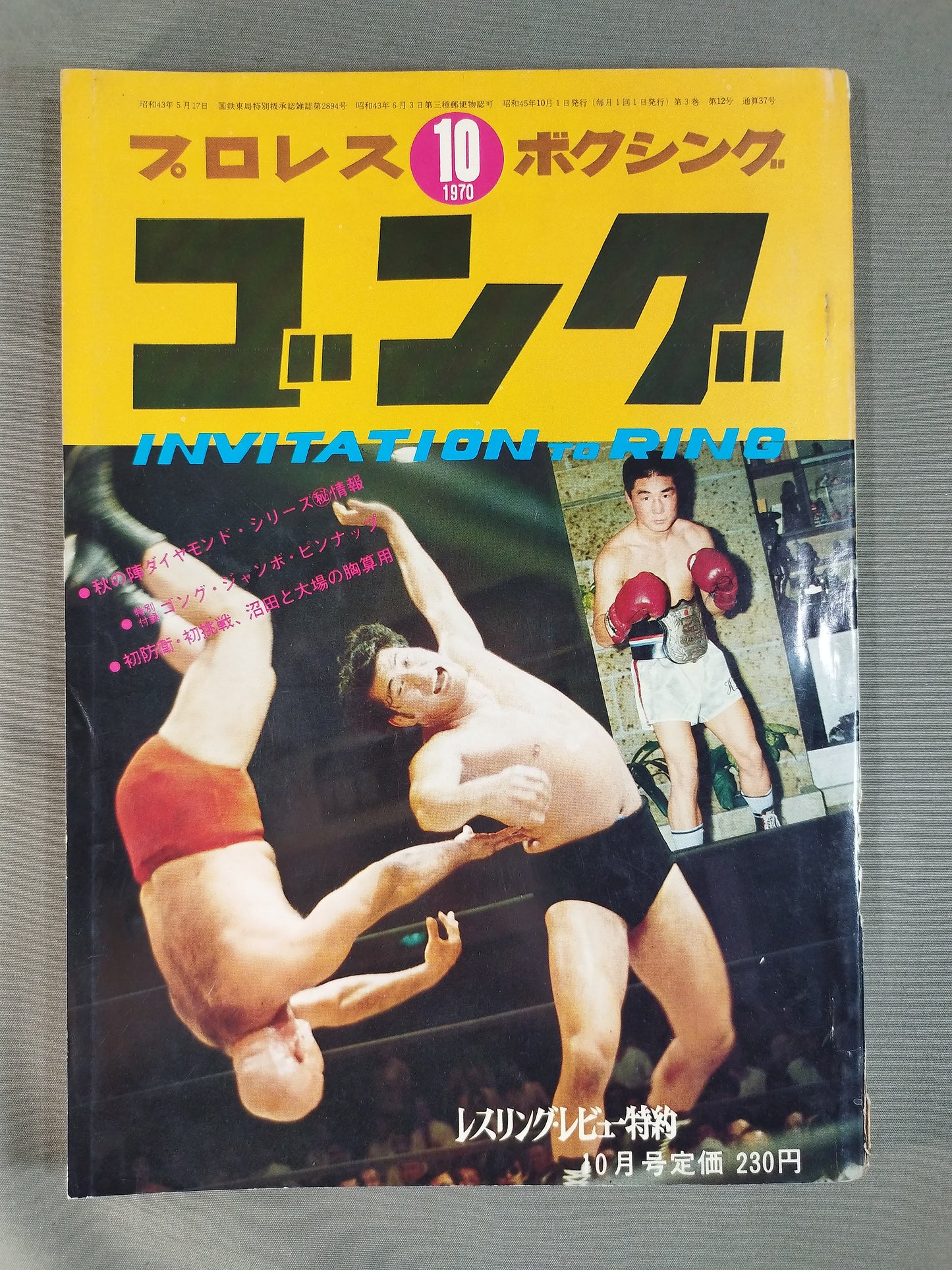 月刊ゴングVol.3 No.12