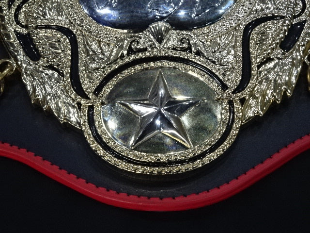 PWF Heavyweight Championship Belt