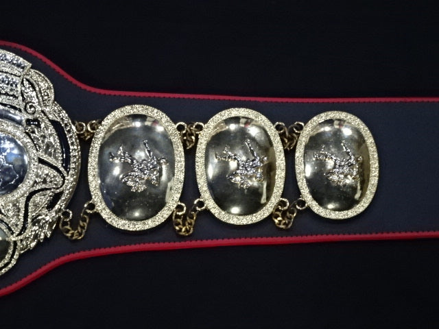 PWF Heavyweight Championship Belt