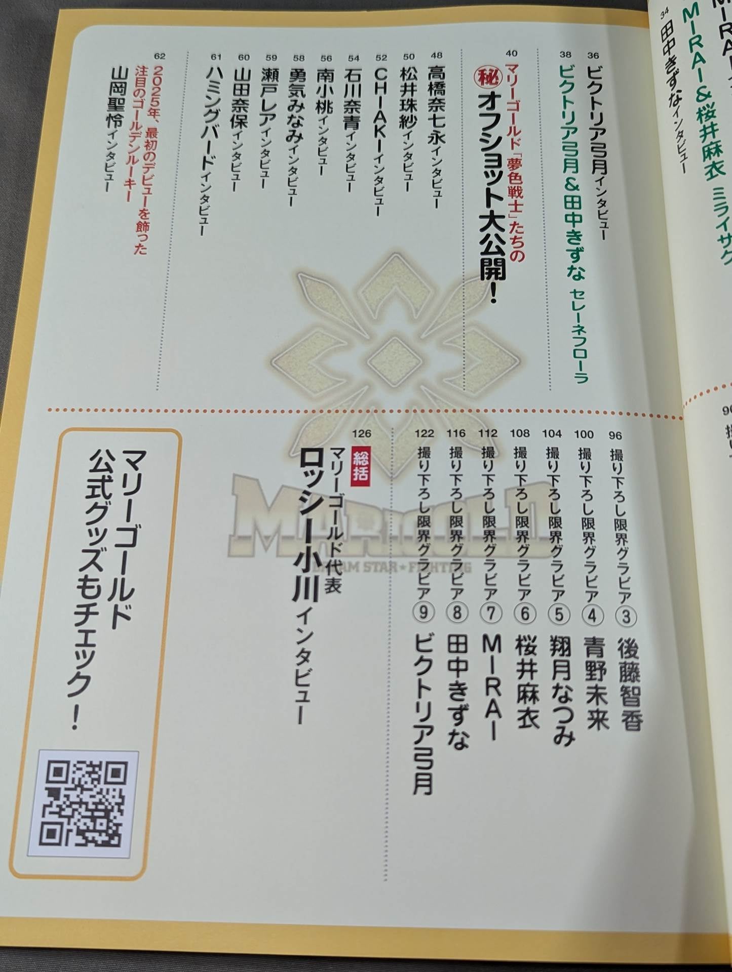 マリーゴールド公式ファンブック