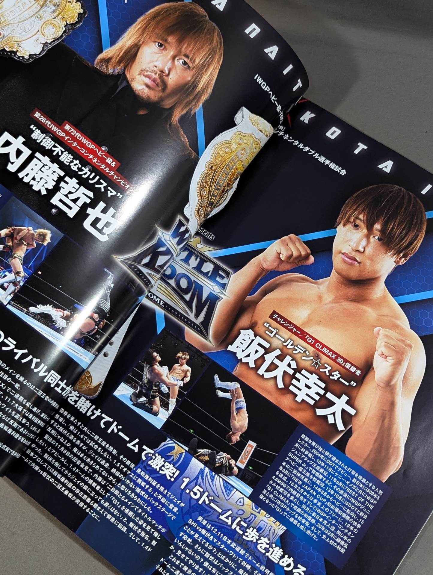 レッスルキングダム15 / WRESTLE KINGDOM 15