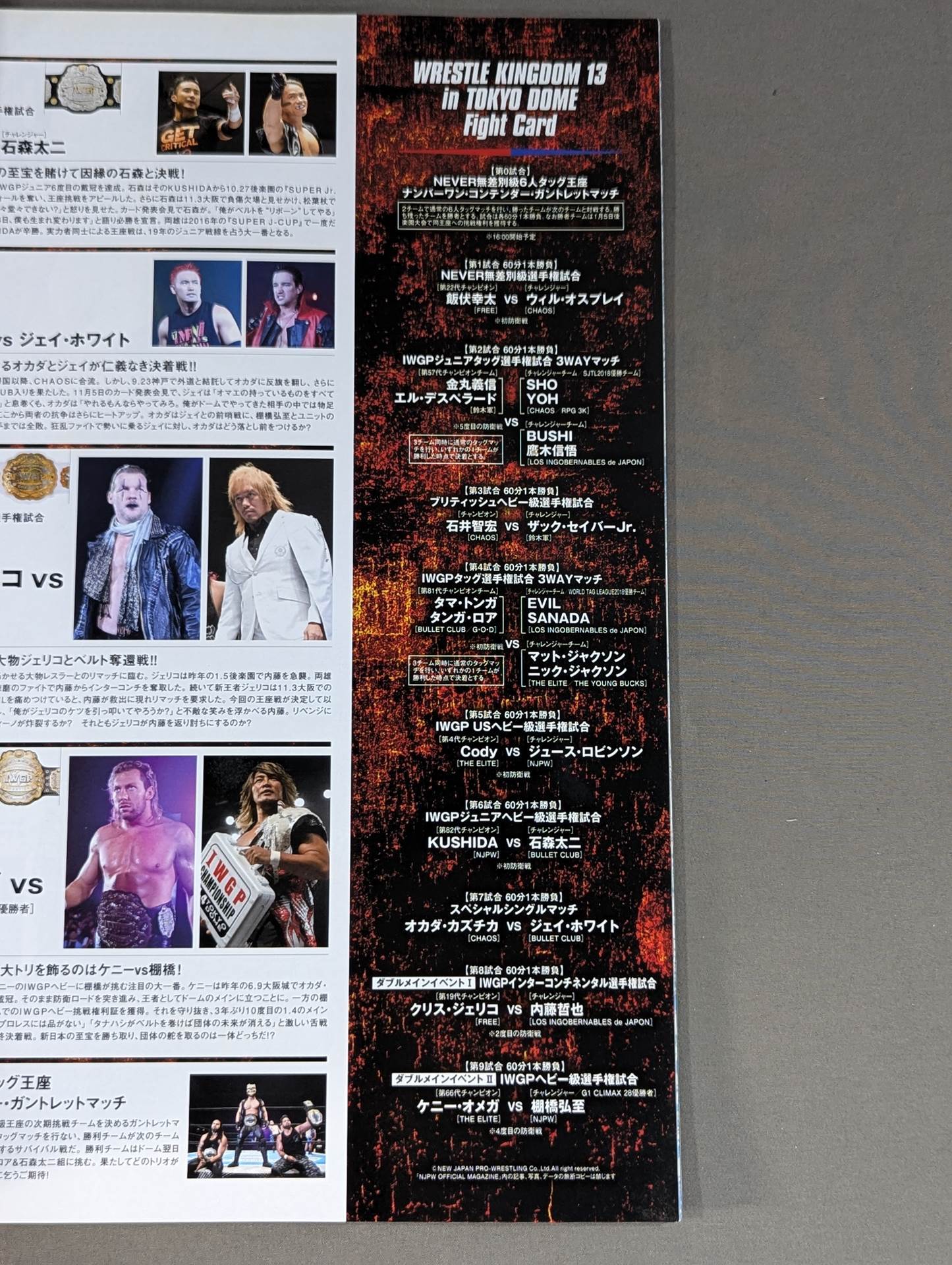 レッスルキングダム13 / WRESTLE KINGDOM 13
