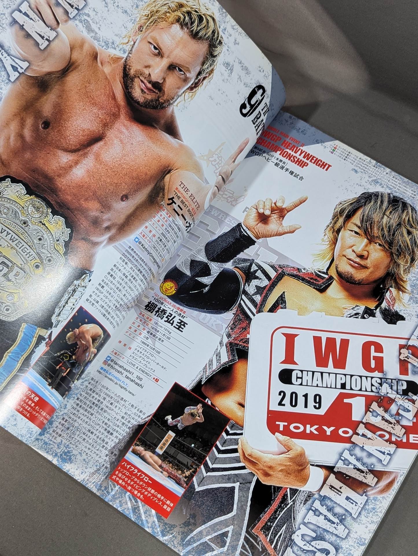 レッスルキングダム13 / WRESTLE KINGDOM 13