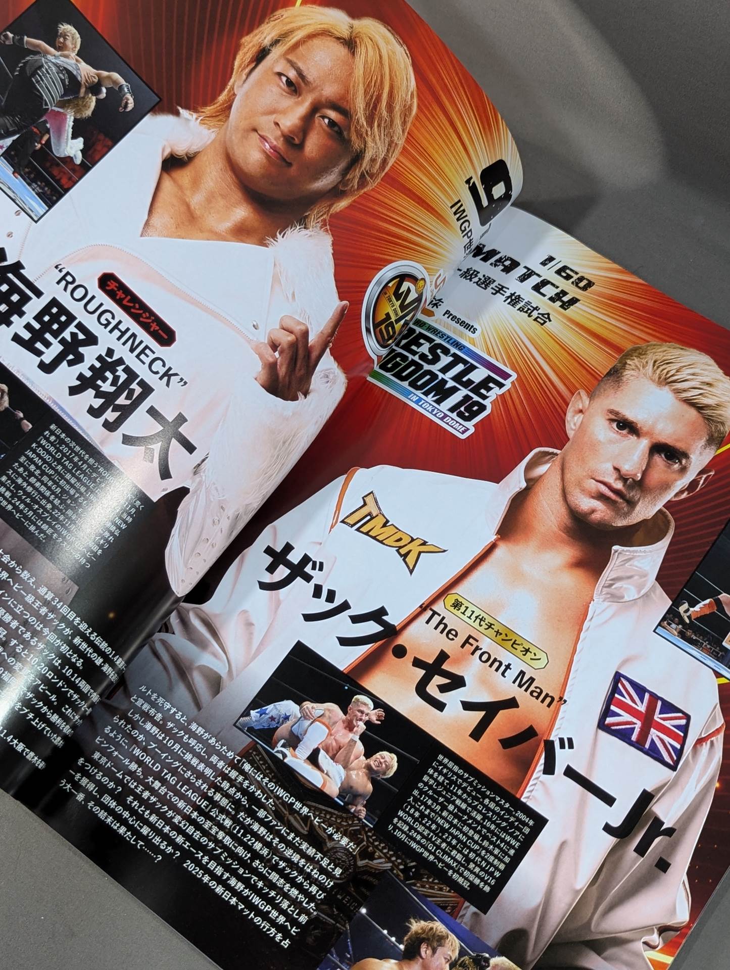 WRESTLE KINGDOM 19 & DYNASTY