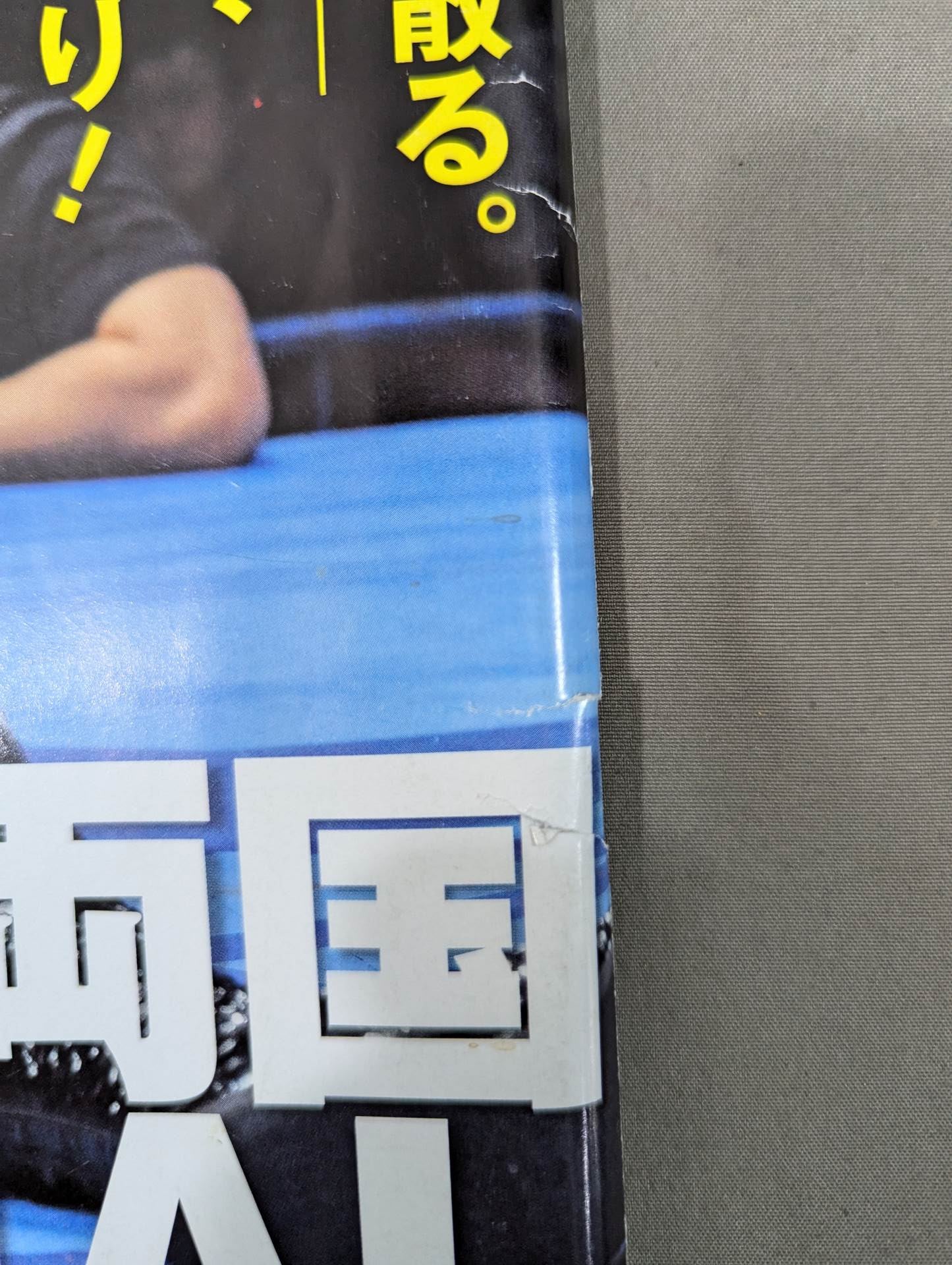 Weekly Pro Wrestling 1624