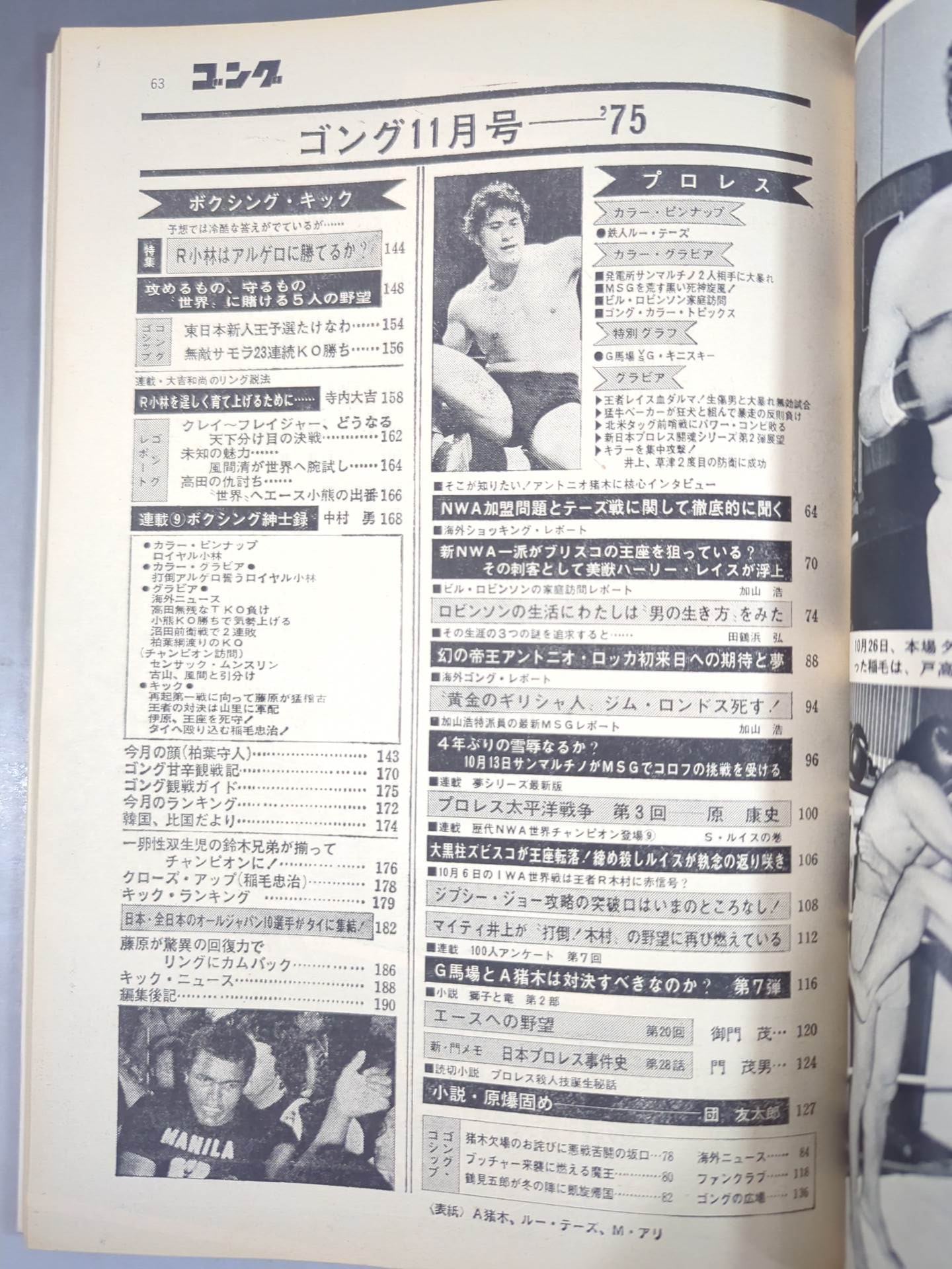 月刊ゴングVol.8 No.13