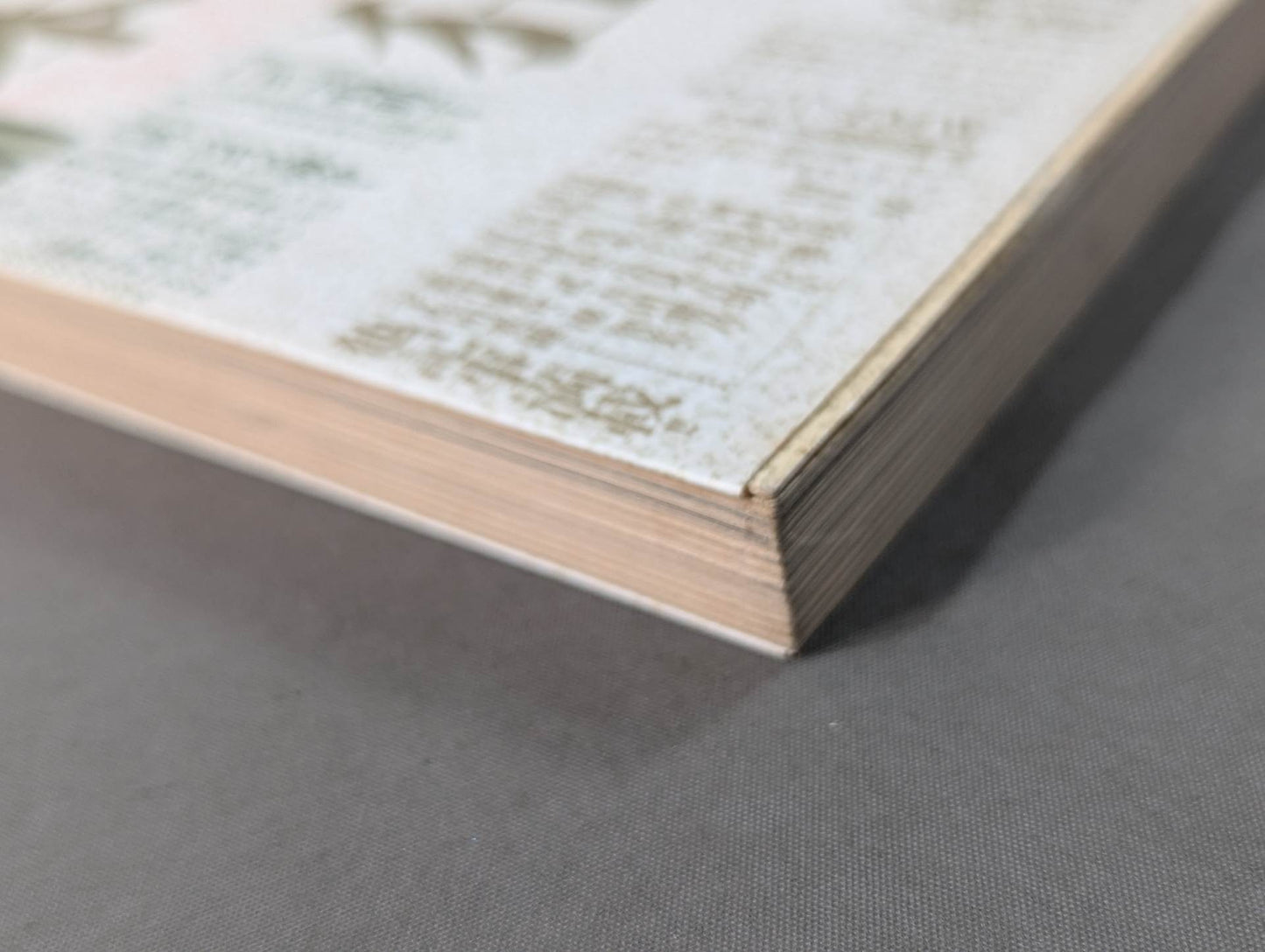 プロレス狂読本 愛と哀しみのロープ