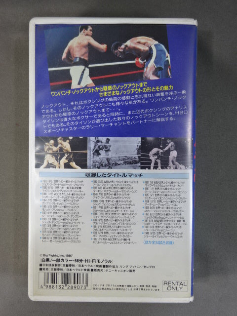 Number Champion Legend 4 Knockout