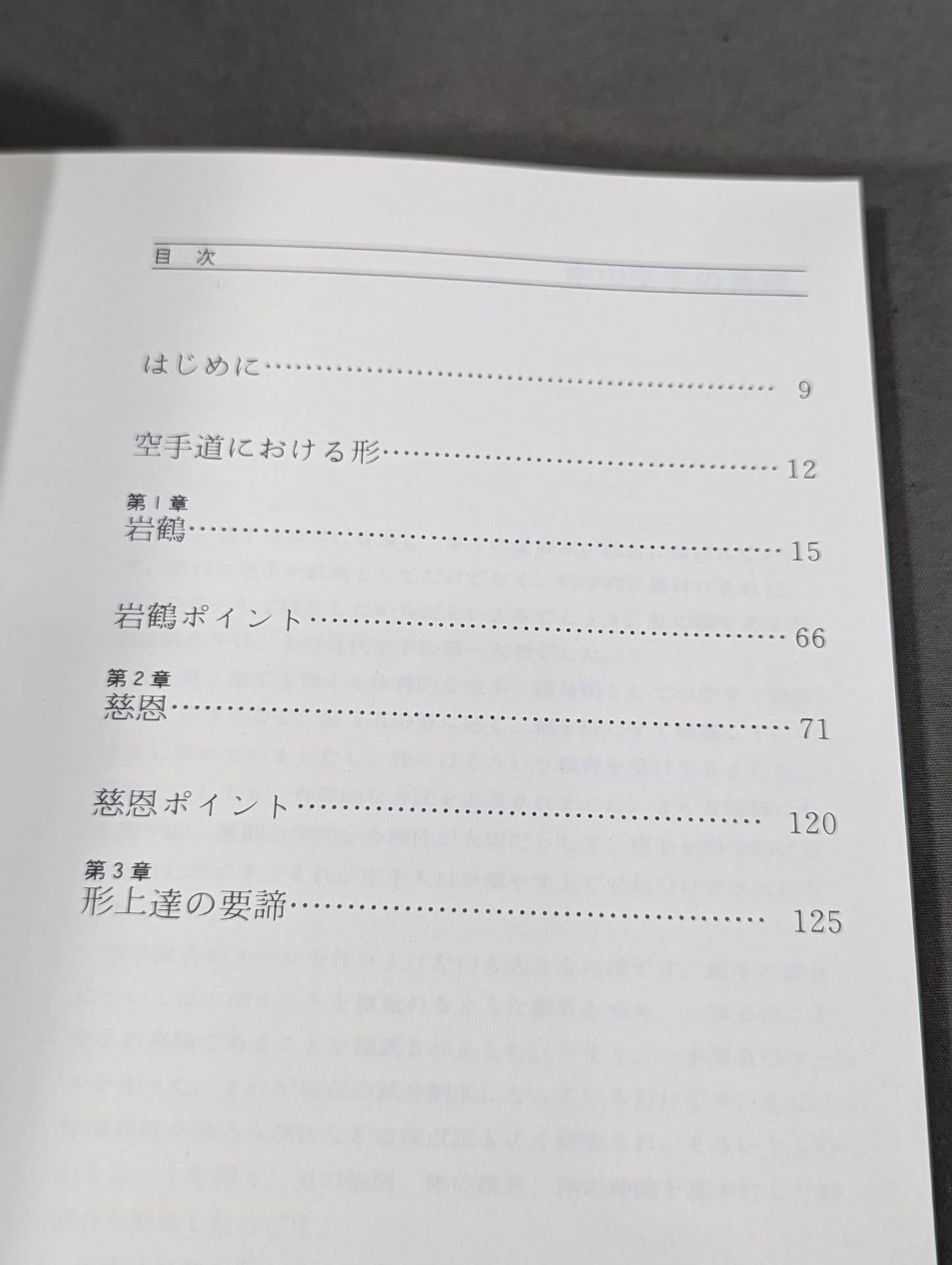 ベスト空手⑧ 岩鶴・慈恩