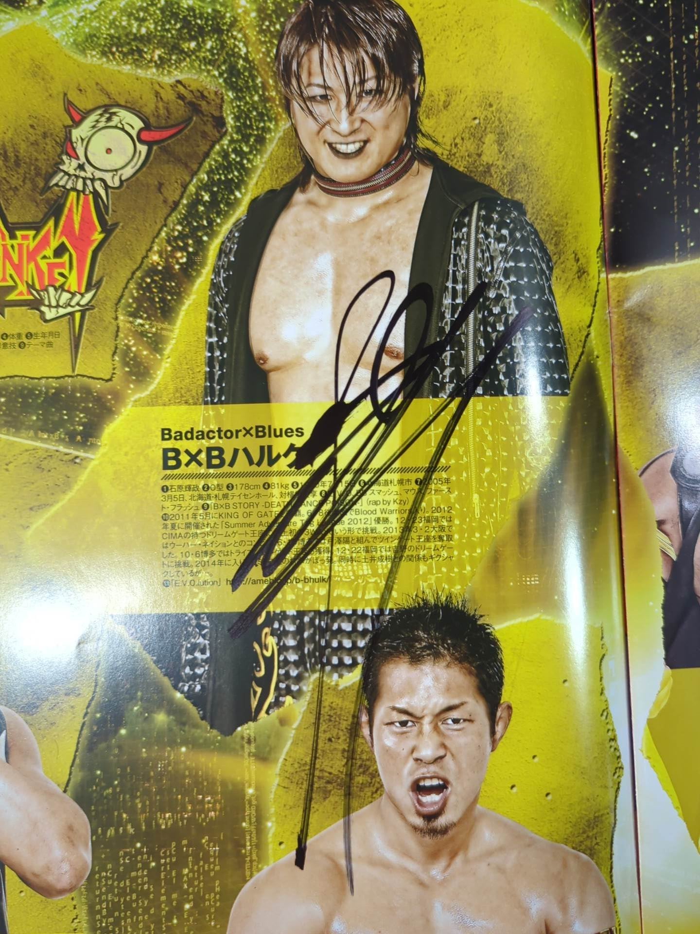 [12 fighters hand signed autograph 】2014 Dragon Gate Official Pamphlet Vol.35