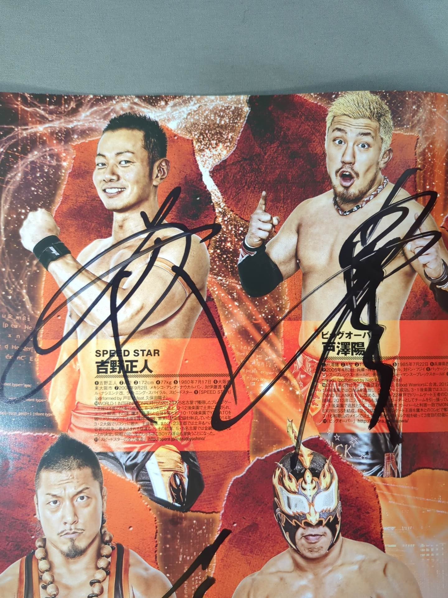 [12 fighters hand signed autograph 】2014 Dragon Gate Official Pamphlet Vol.35