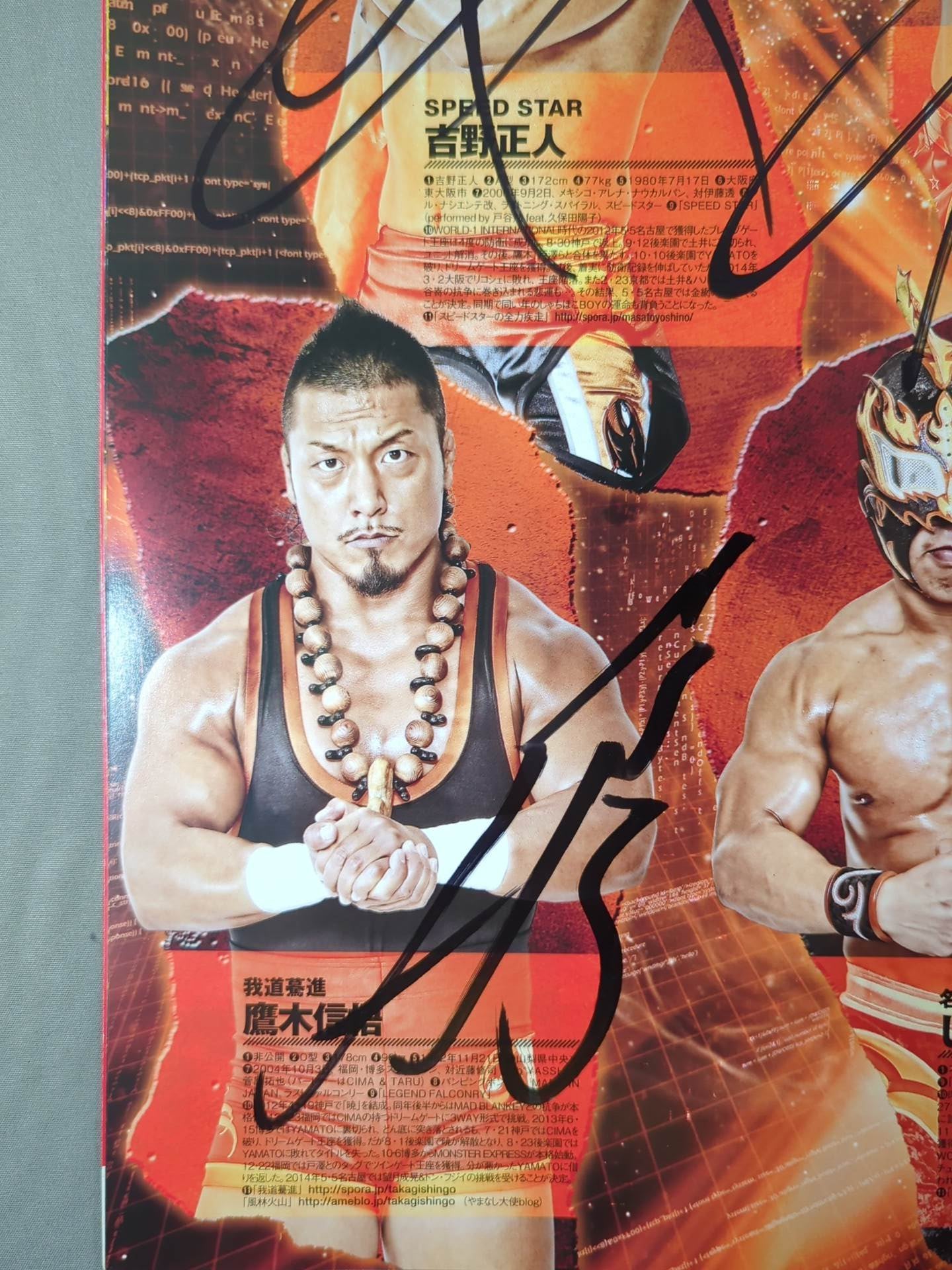 [12 fighters hand signed autograph 】2014 Dragon Gate Official Pamphlet Vol.35