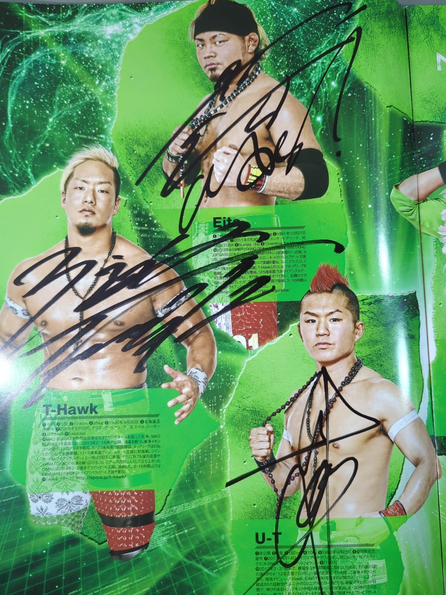 [12 fighters hand signed autograph 】2014 Dragon Gate Official Pamphlet Vol.35