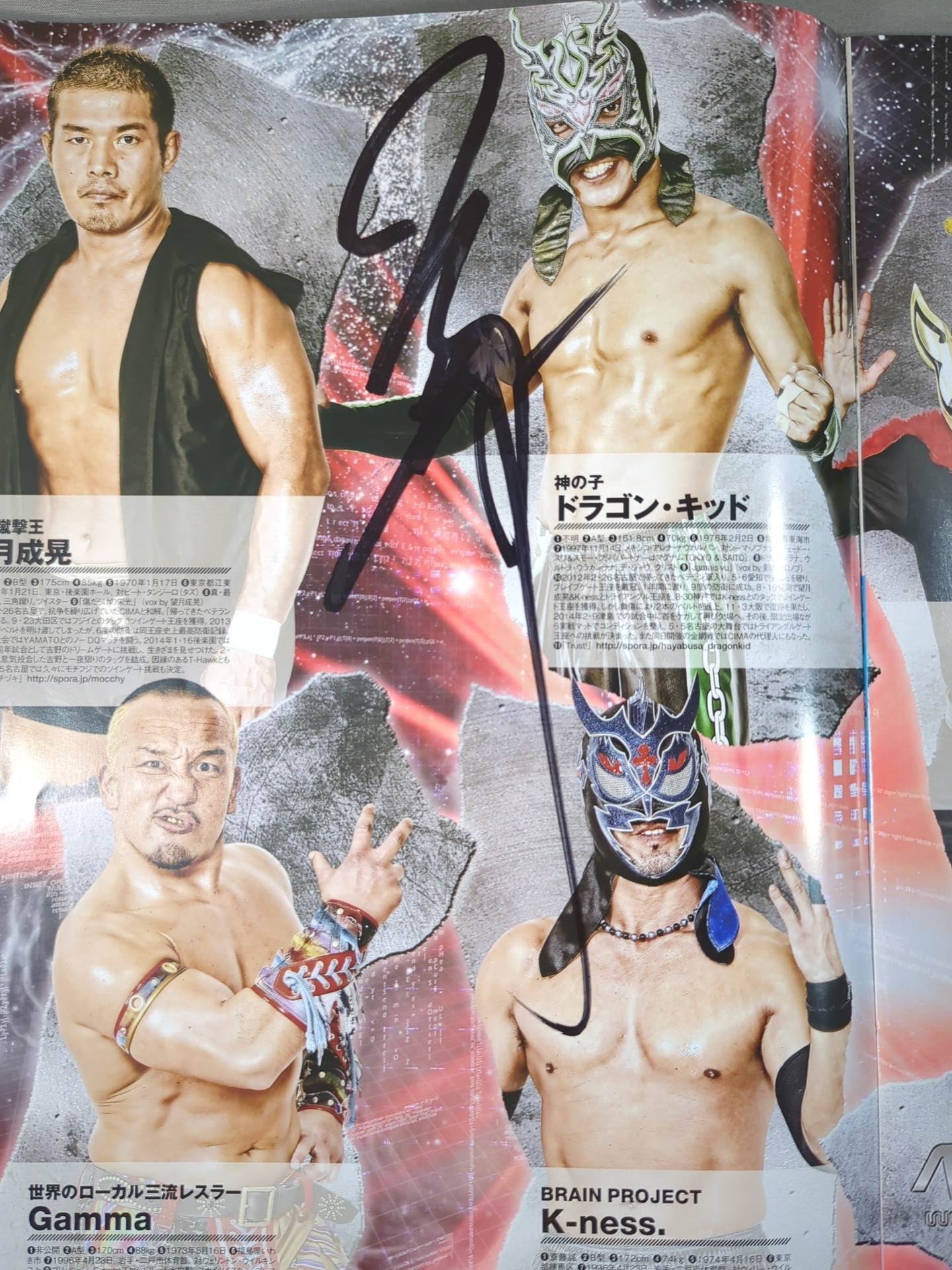 [12 fighters hand signed autograph 】2014 Dragon Gate Official Pamphlet Vol.35