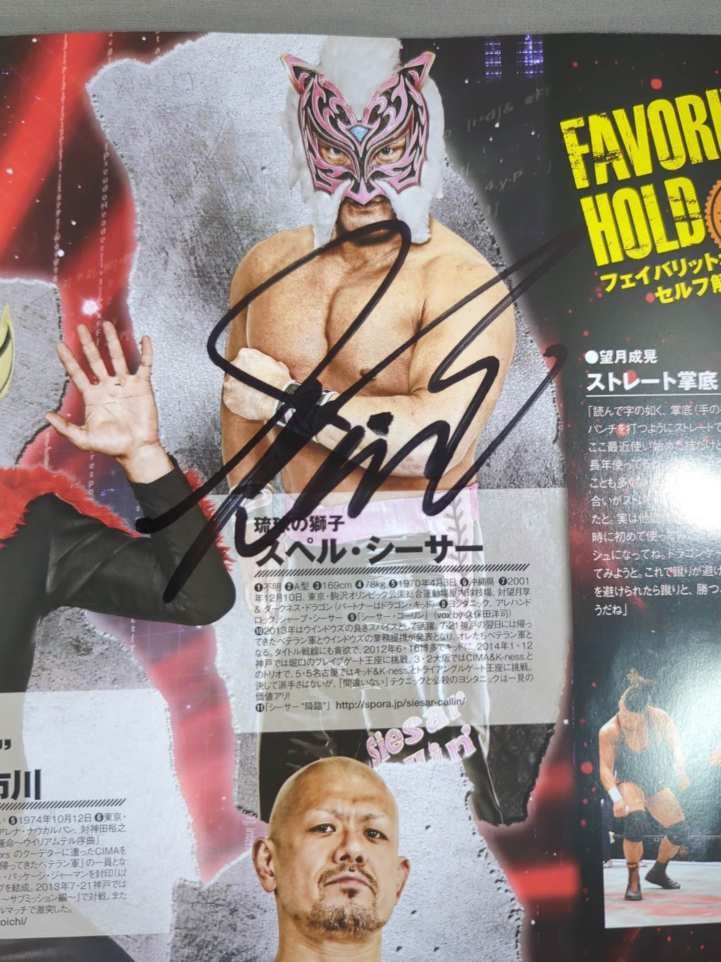 [12 fighters hand signed autograph 】2014 Dragon Gate Official Pamphlet Vol.35
