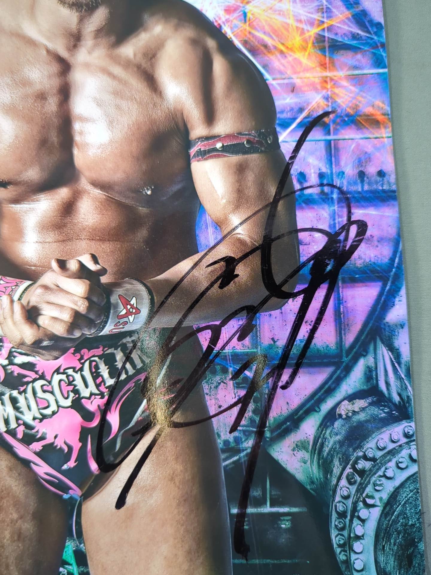 [8 fighters hand signed autograph 】2013 Dragon Gate Official Pamphlet Vol.30