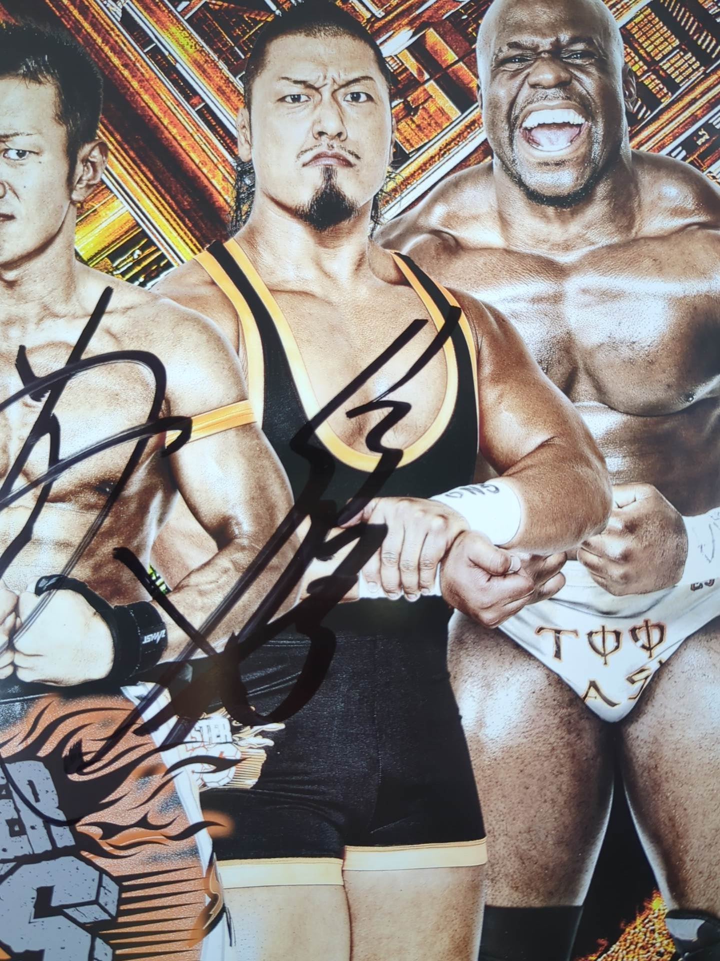 [8 fighters hand signed autograph 】2013-2014 Dragon Gate Official Brochure Vol.33