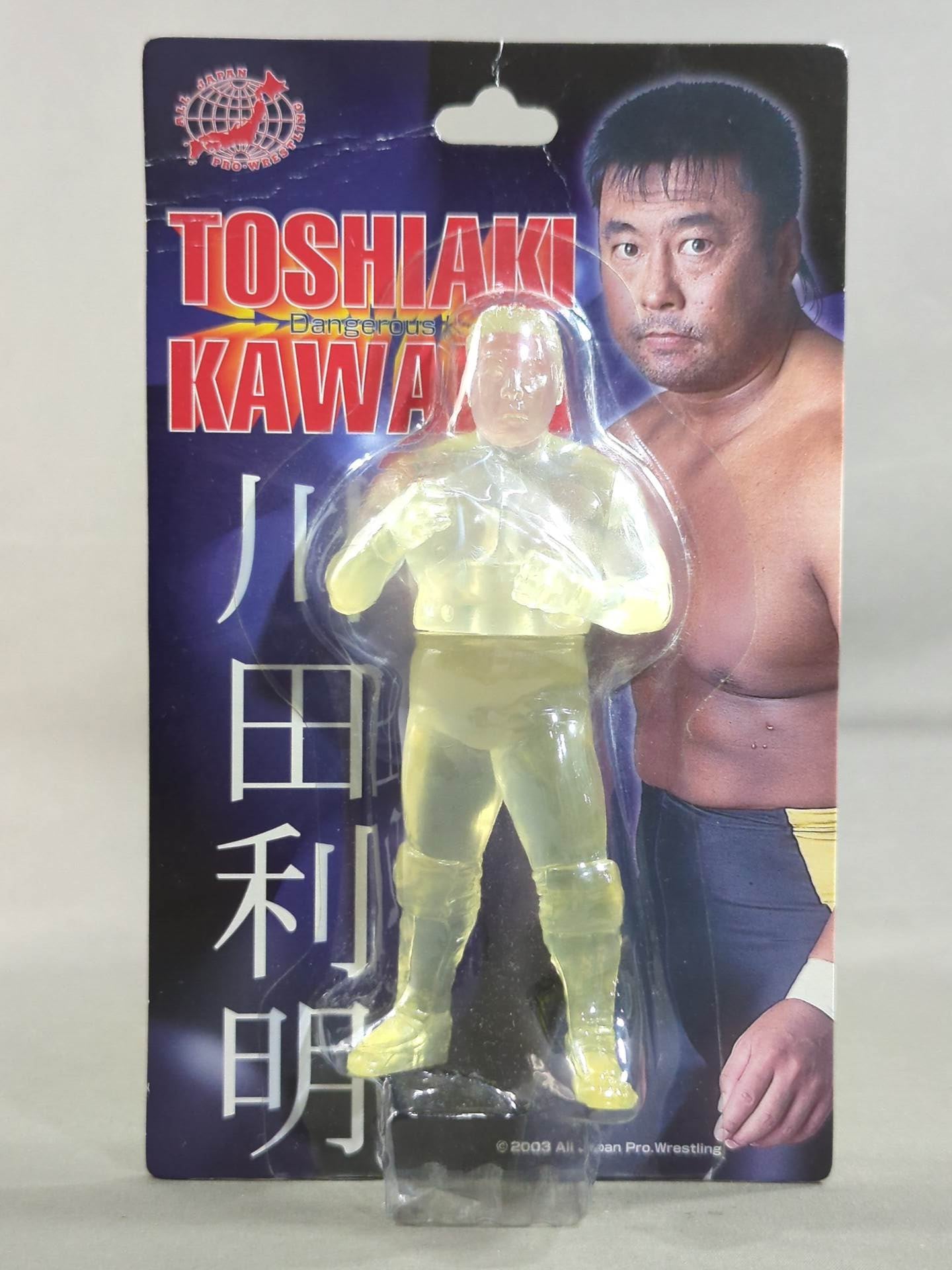 Toshiaki Kawada (clear)