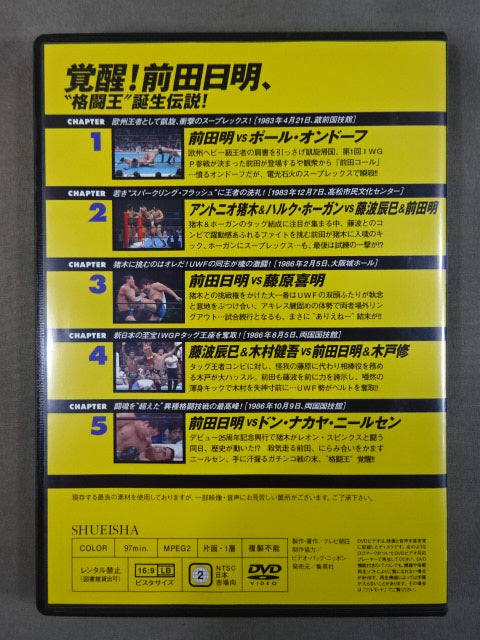 Burn! New Japan Pro Wrestling vol.16