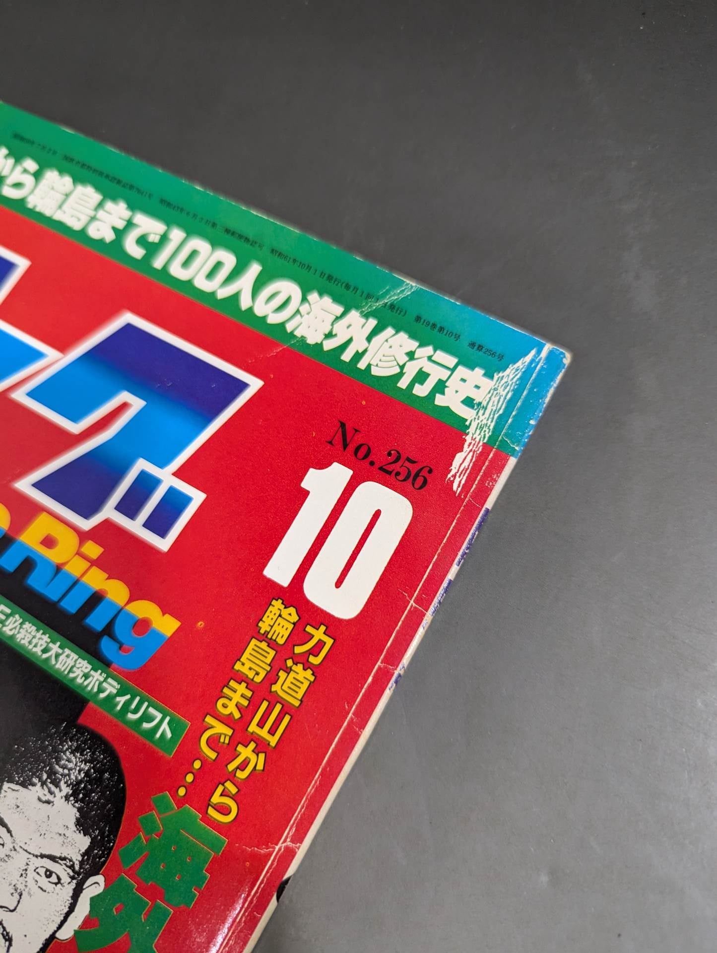 月刊ゴングVol.19 No.10
