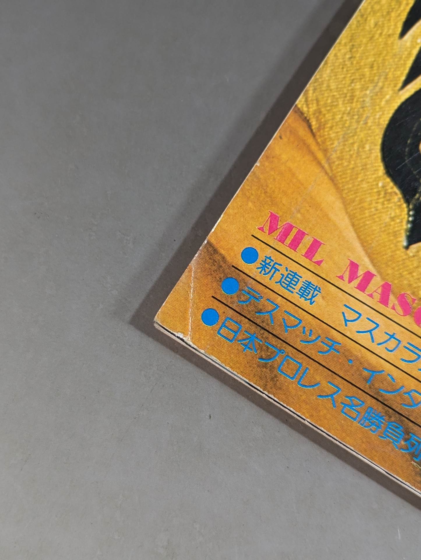 別冊ゴングVol.9 No.5