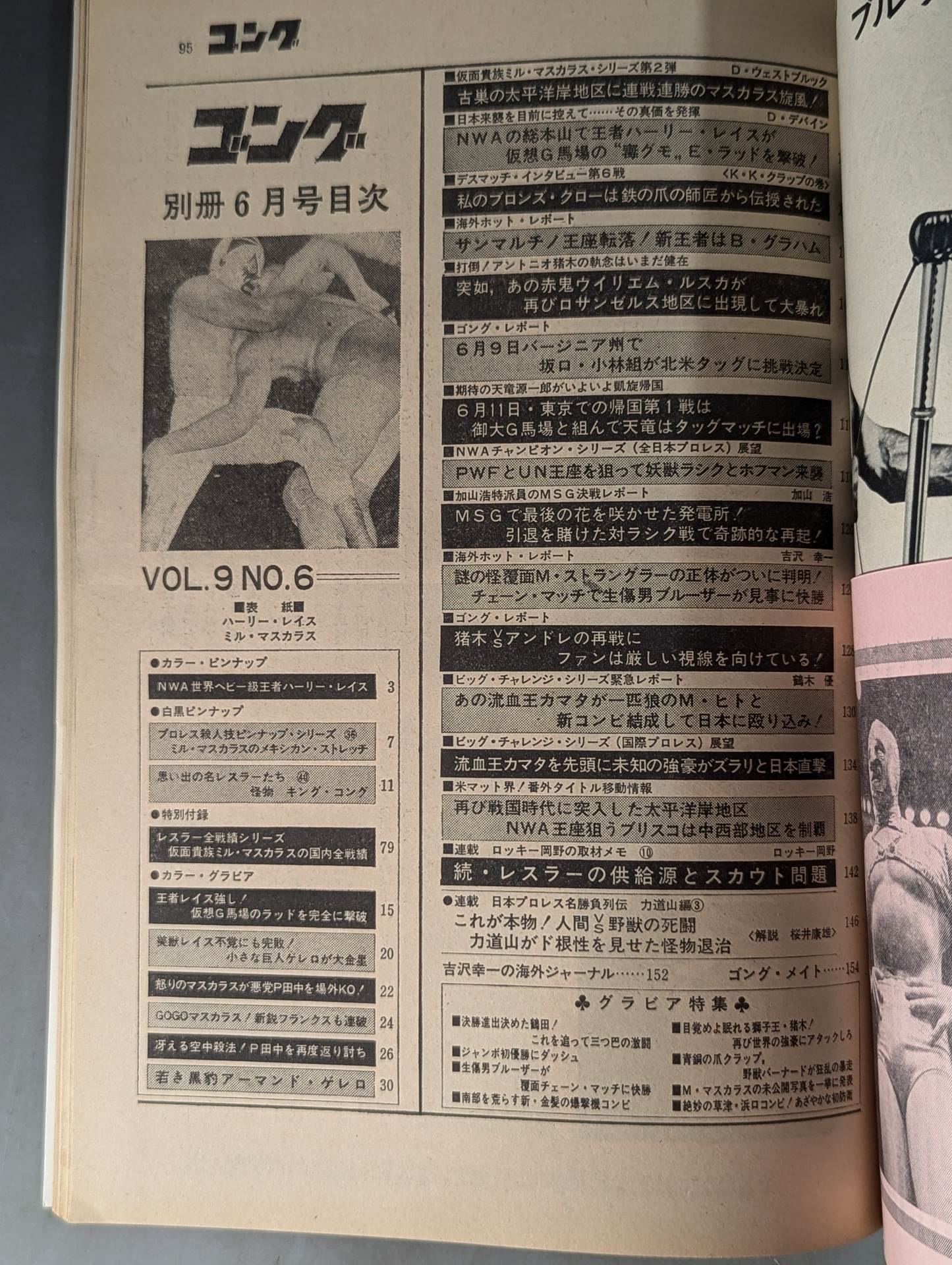 別冊ゴングVol.9 No.6
