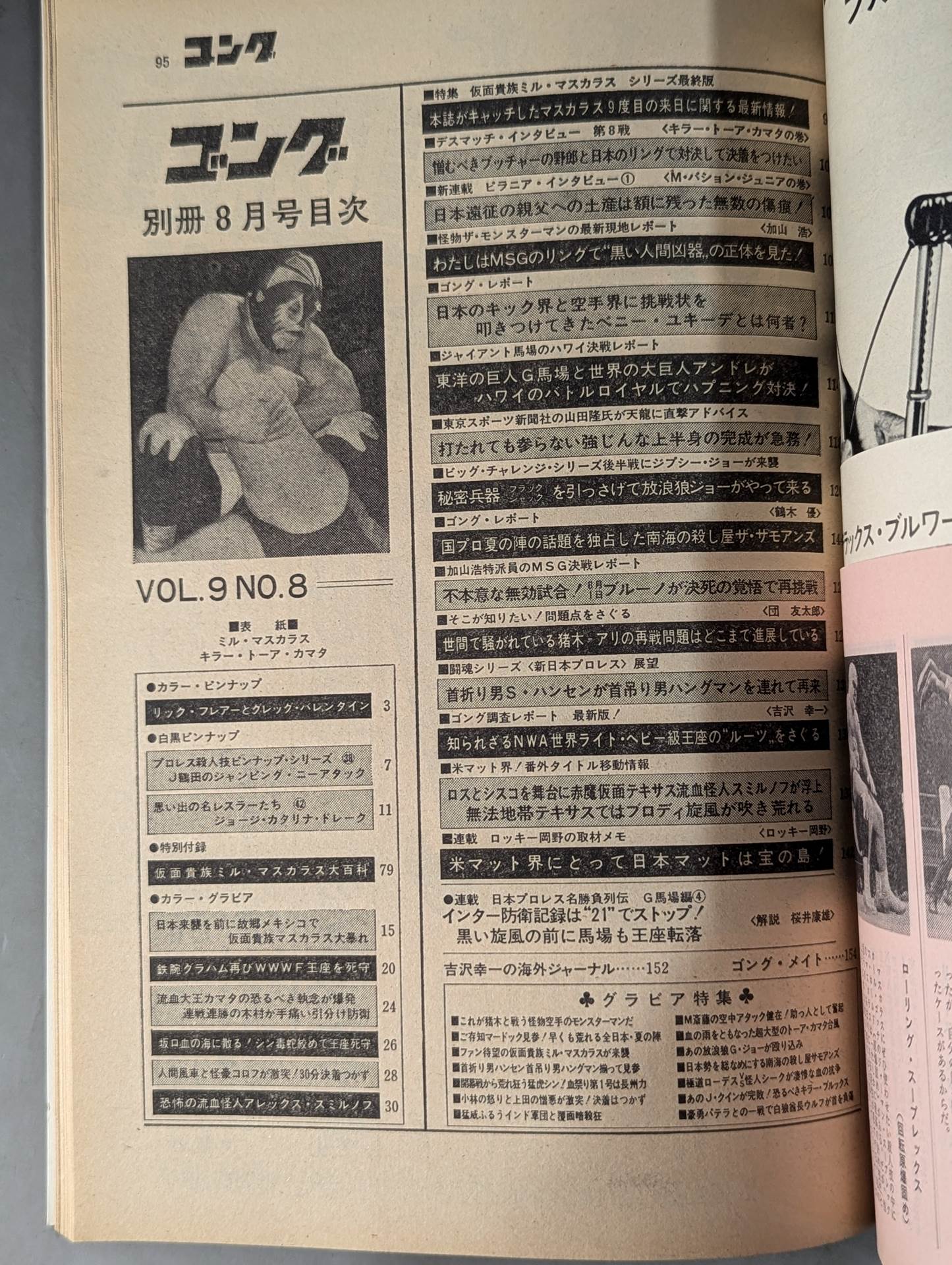 別冊ゴングVol.9 No.8