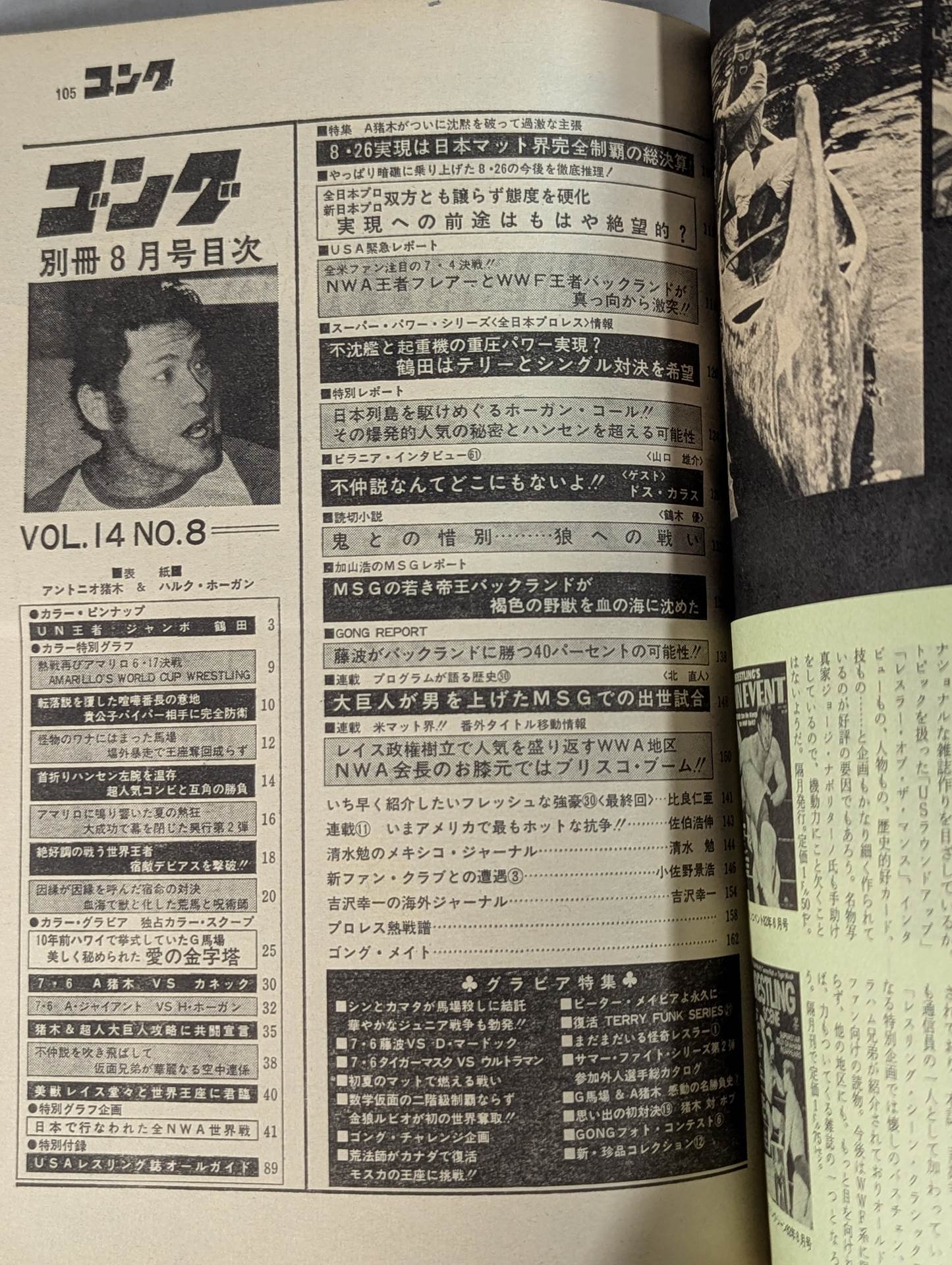 別冊ゴングVol.14 No.8