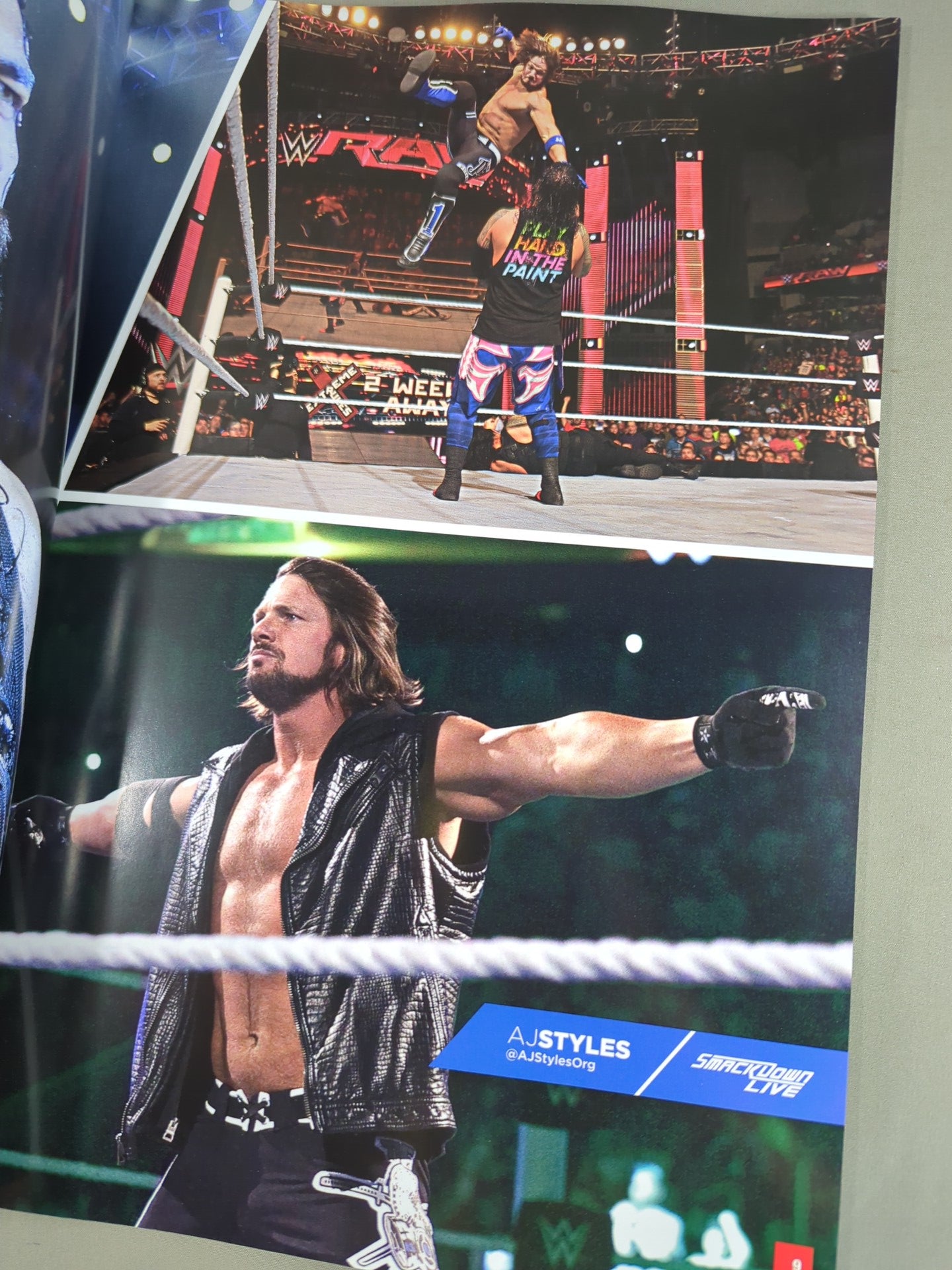 WWE OFFICIAL PROGRAM 2016