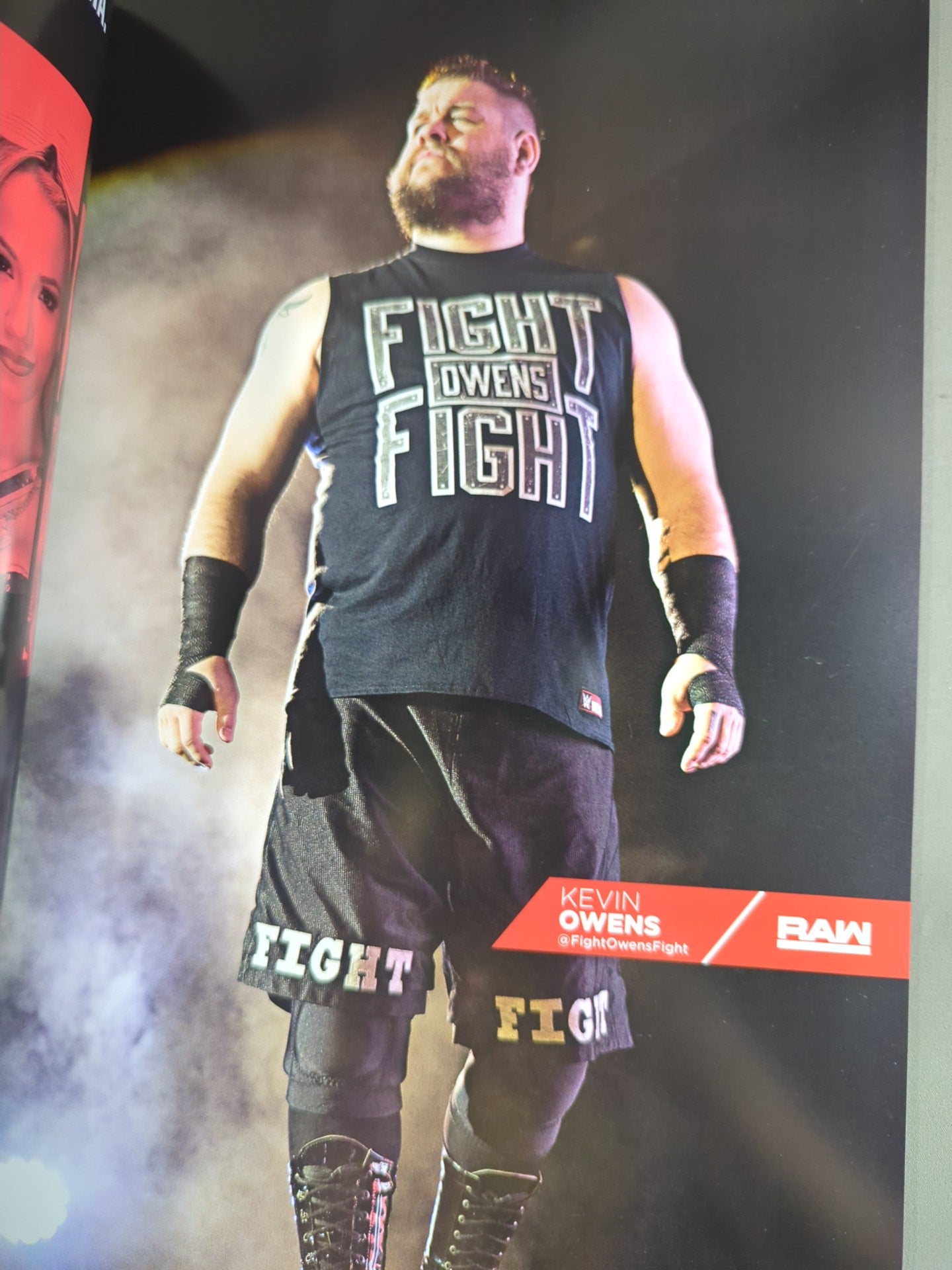 WWE OFFICIAL PROGRAM 2016