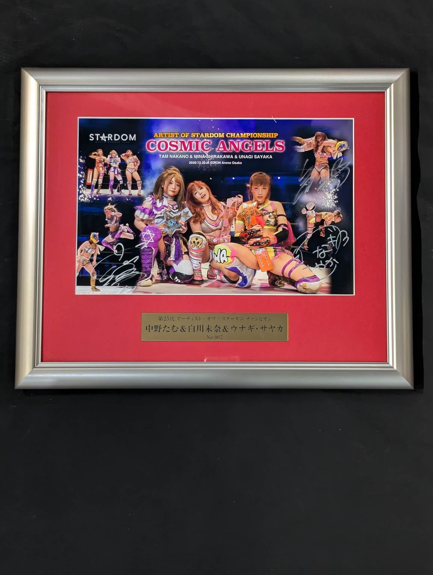 スターダム 写真集 Bikiniing10　ウナギ・サヤカ 直筆サイン入 ウナギ・サヤカ 直筆サイン入り】STARDOM VISUAL BOOK Bikiniing