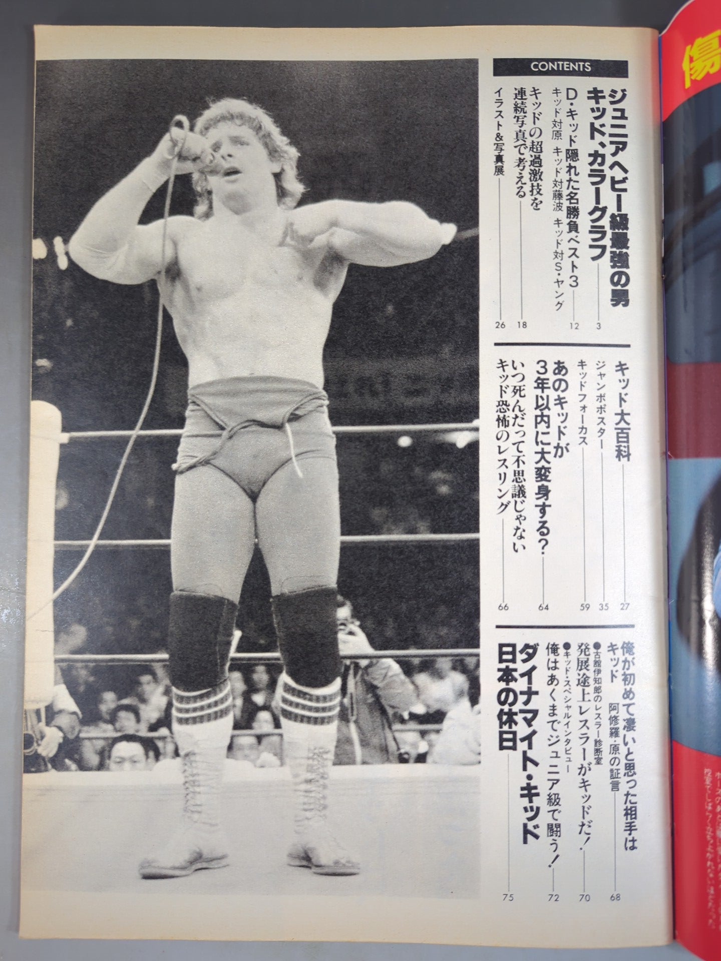 Pro Wrestling Album 43 Dynamite Kid