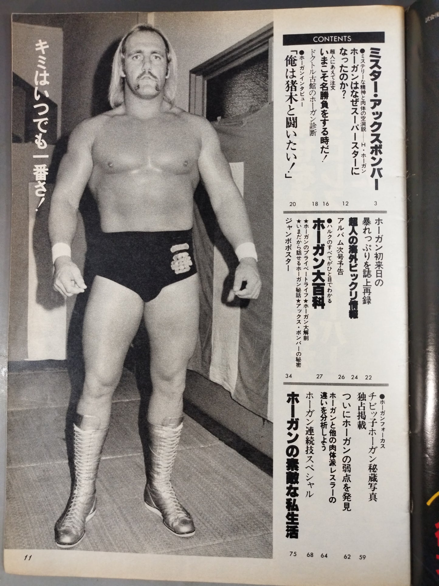 プロレスアルバム40 一番ハルク・ホーガン