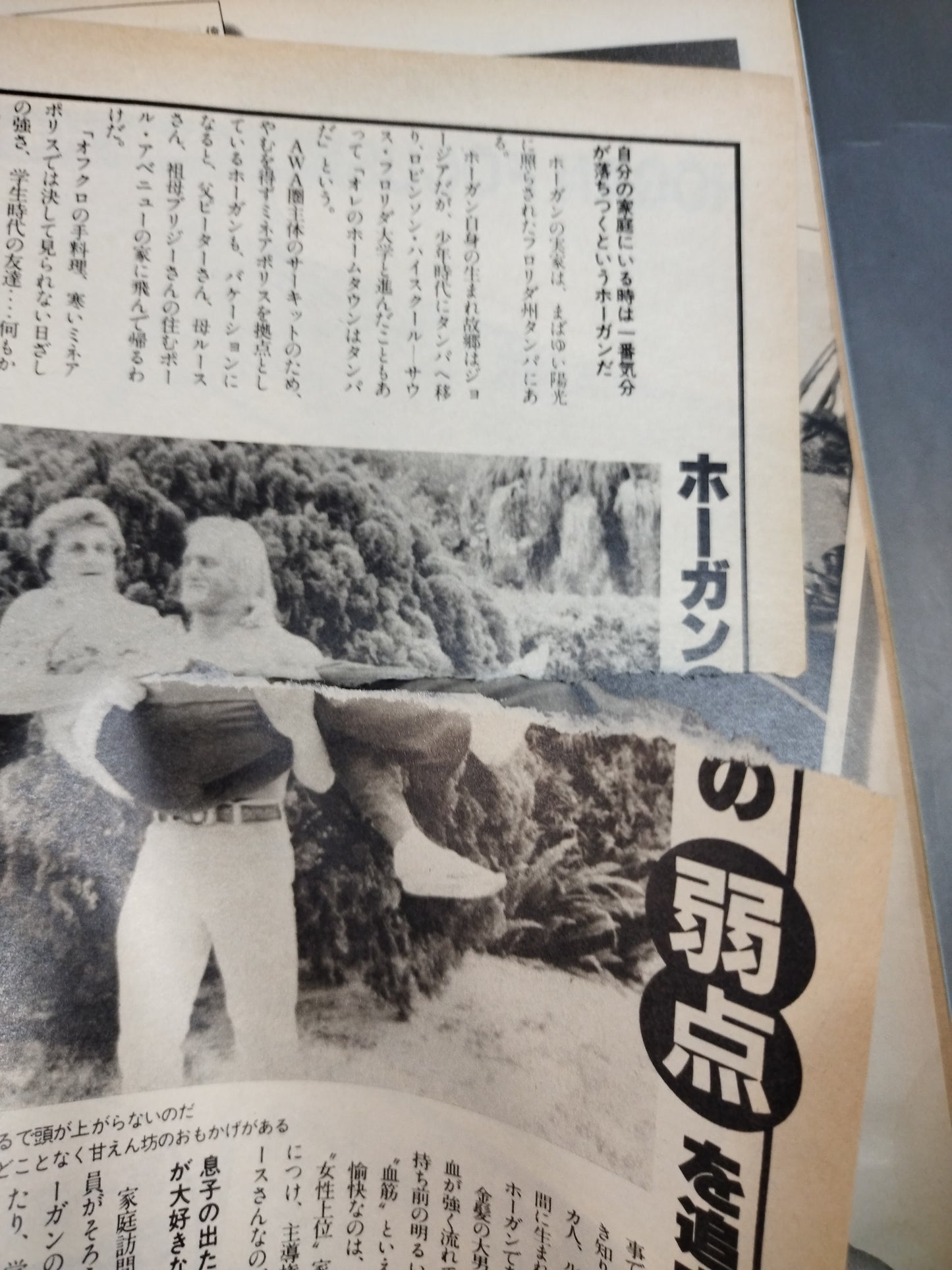 プロレスアルバム40 一番ハルク・ホーガン