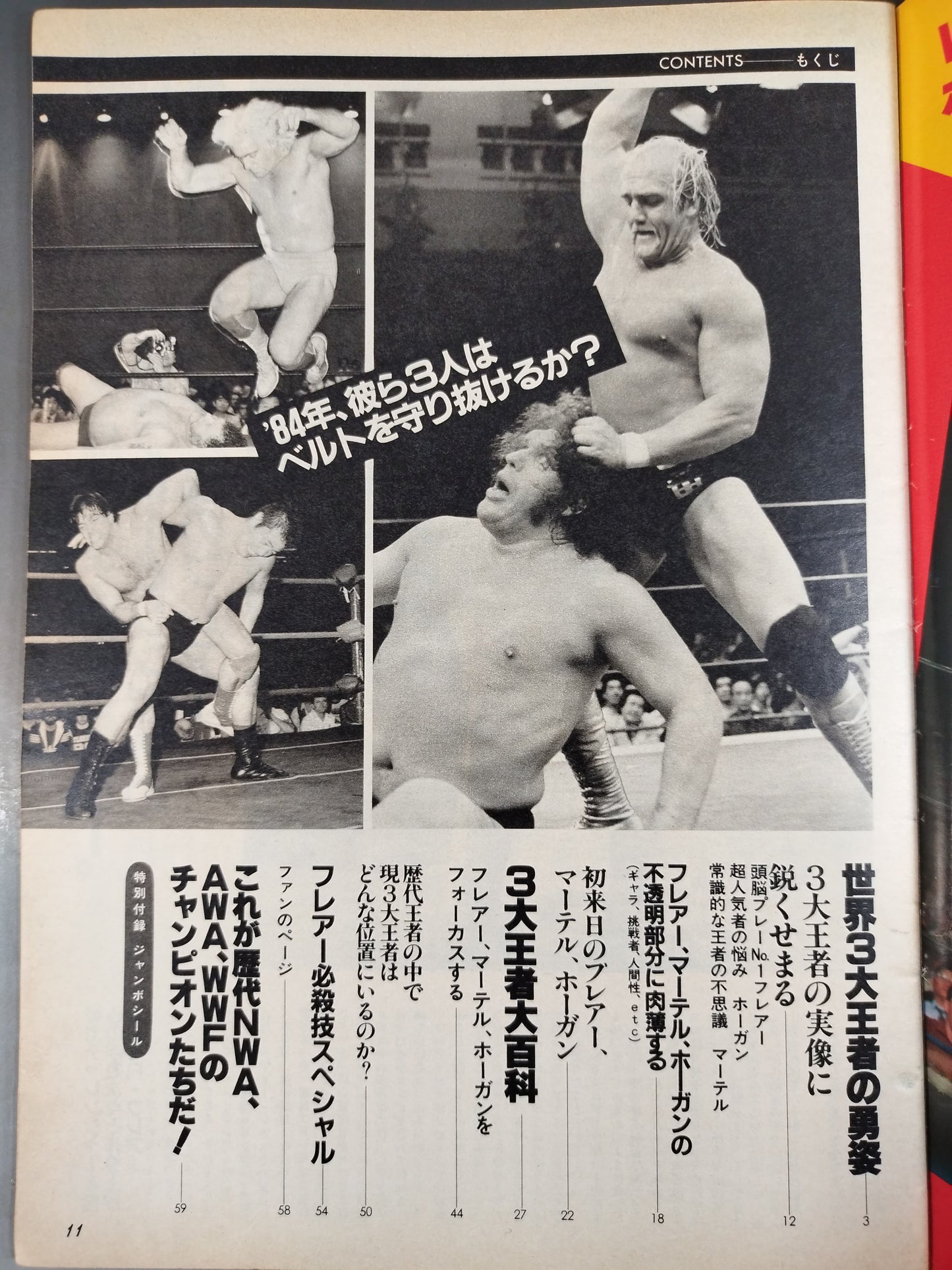 Pro Wrestling Album 47 Champions